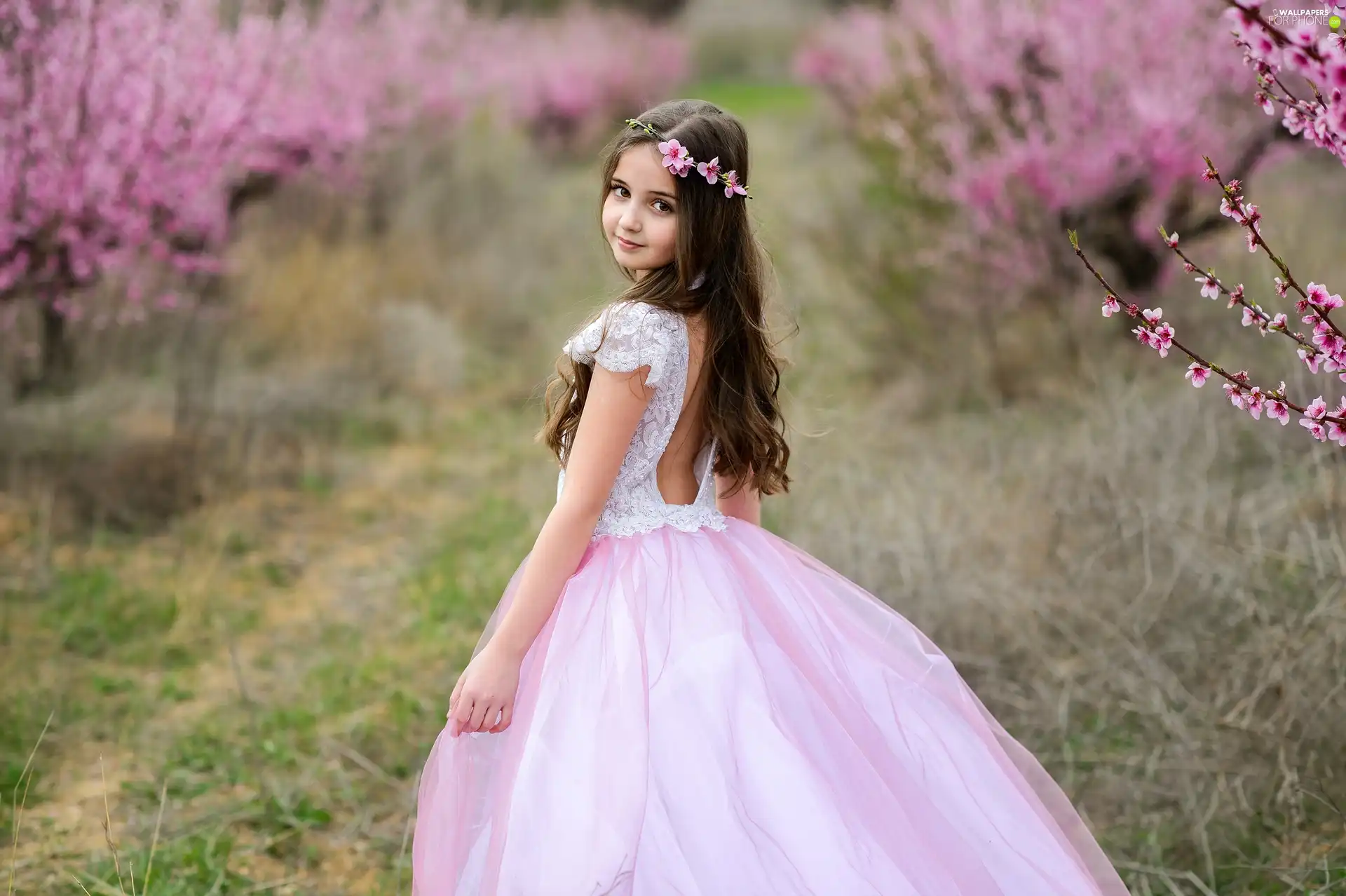 flourishing, trees, dress, viewes, Pink, orchard, Spring, girl