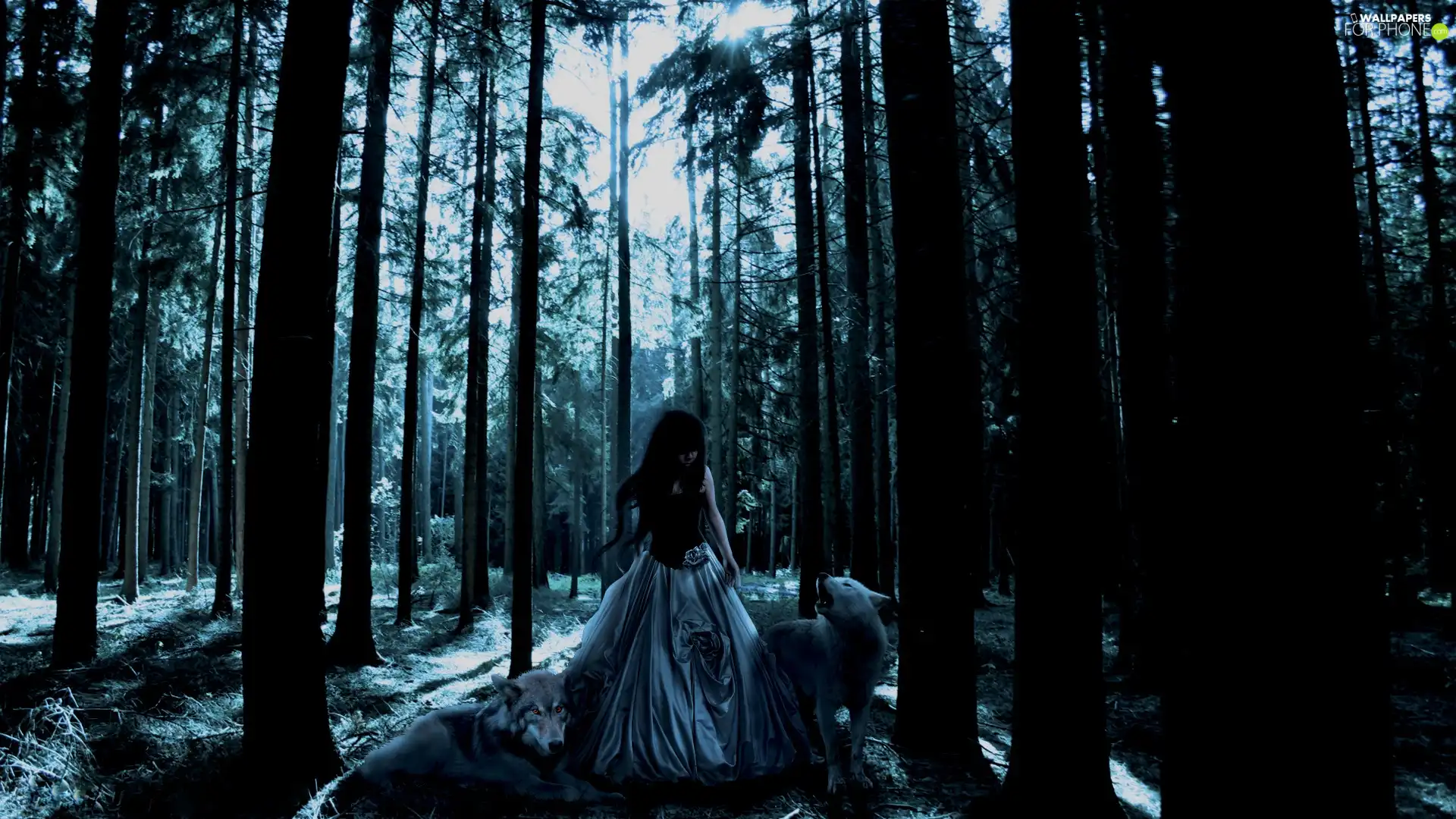 forest, wolves, girl, Night