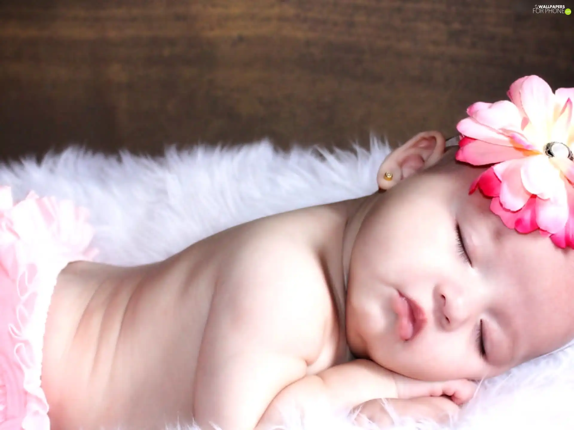 Colourfull Flowers, the sleeping, girl