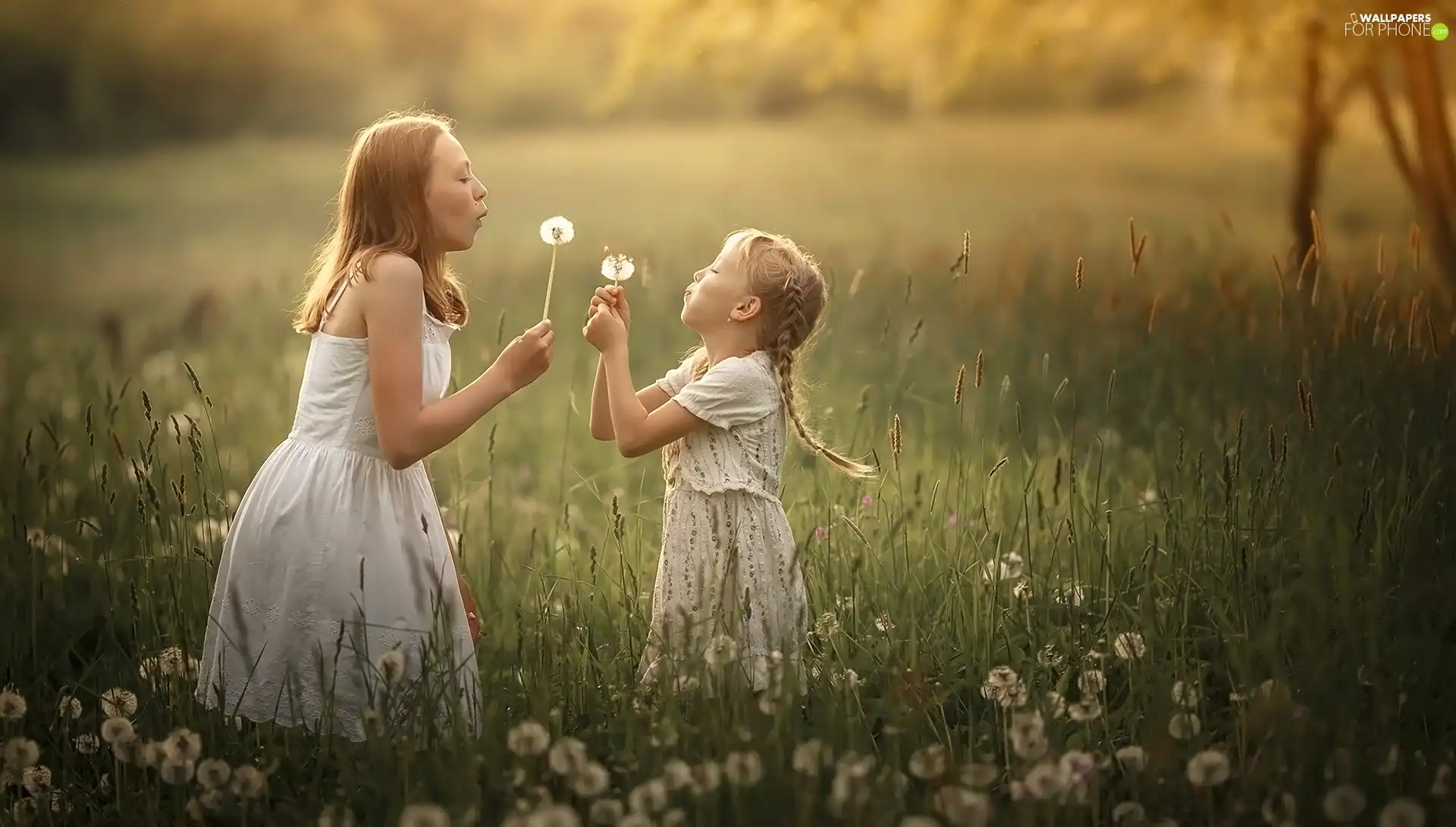 Kids, Meadow, dandelions, girls