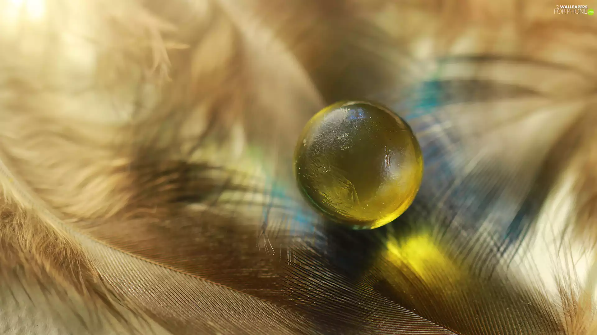 pen, Close, Orb, Glass, Yellow Honda