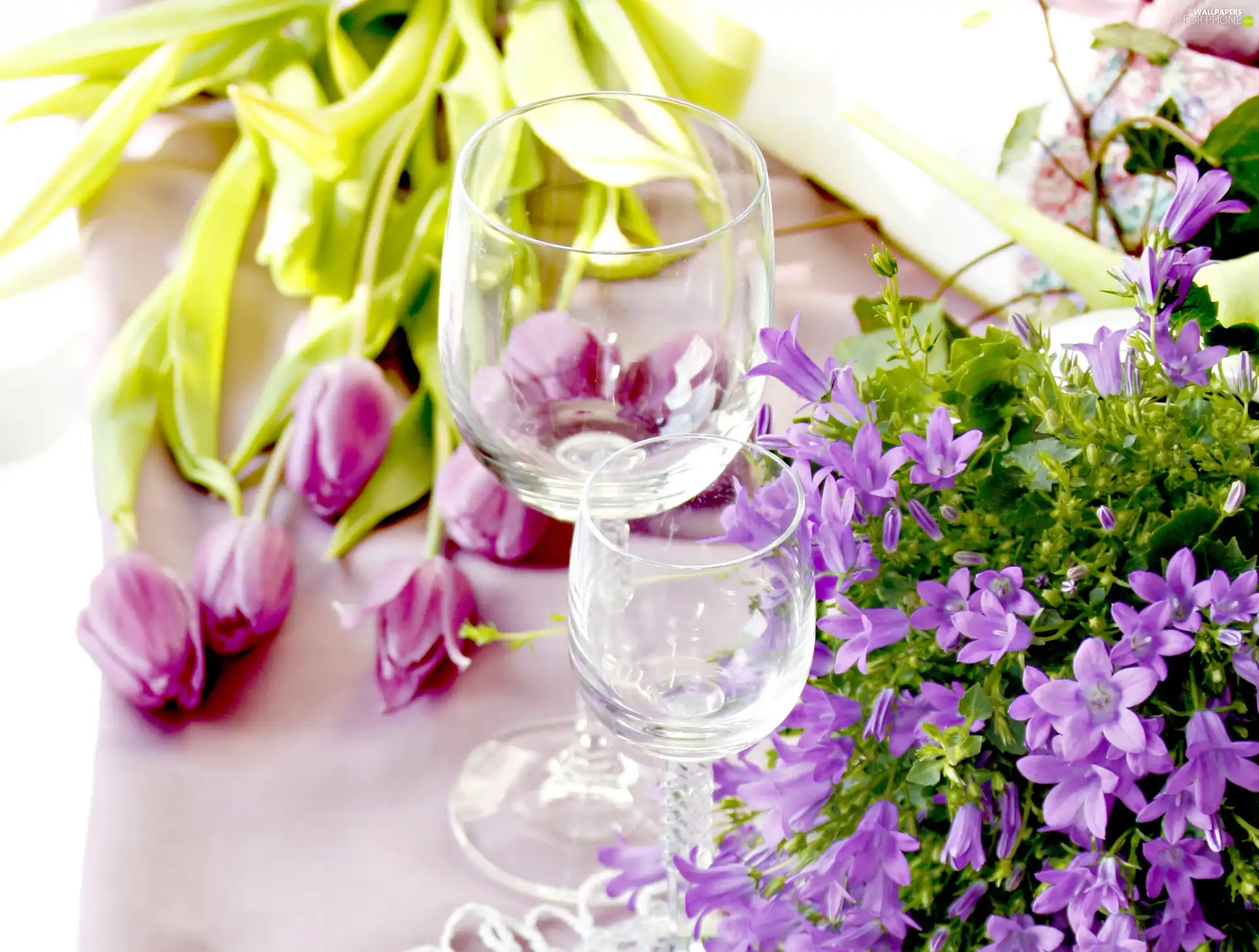 purple, Tulips, glasses, Flowers