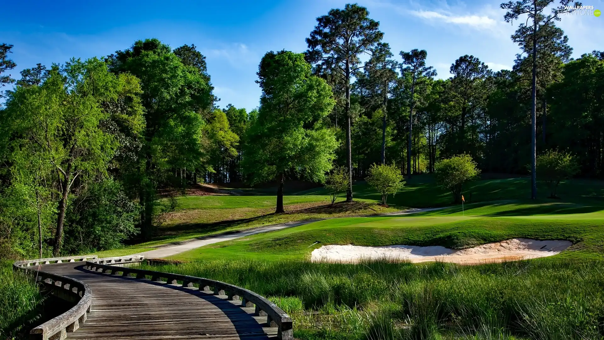 golf-links, Platform