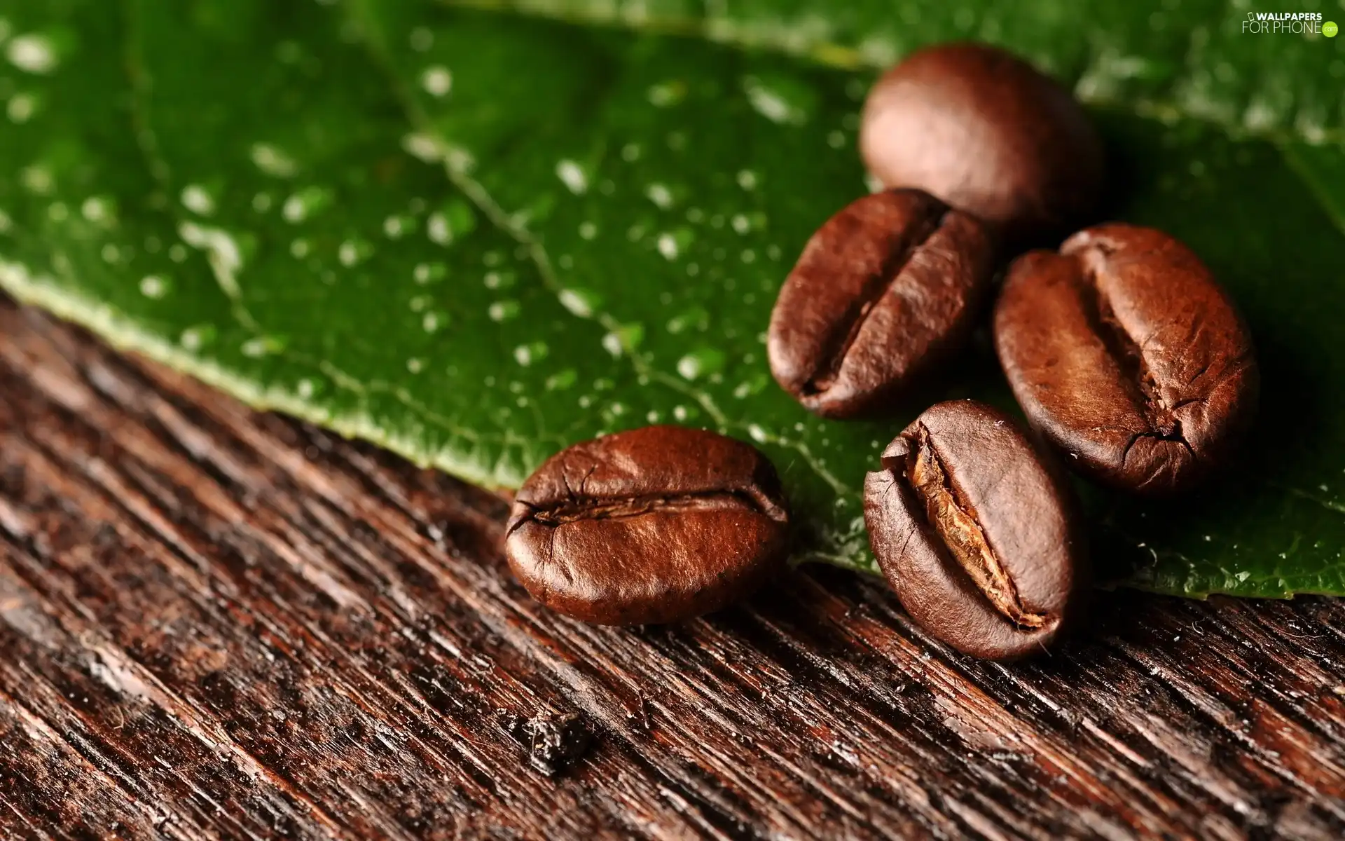 coffee, grains
