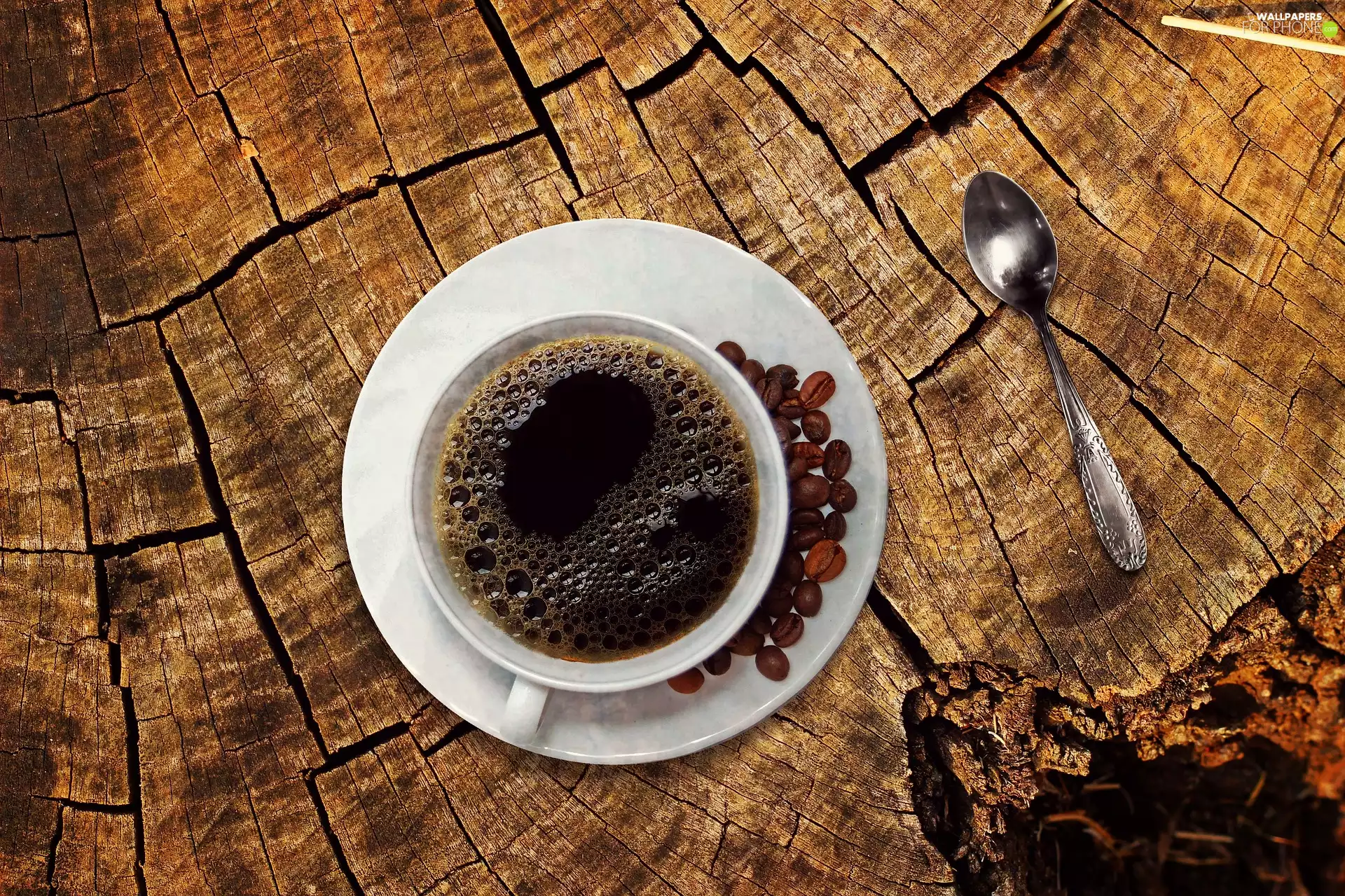 coffee, cup, plate, grains, coffee, teaspoon, trunk
