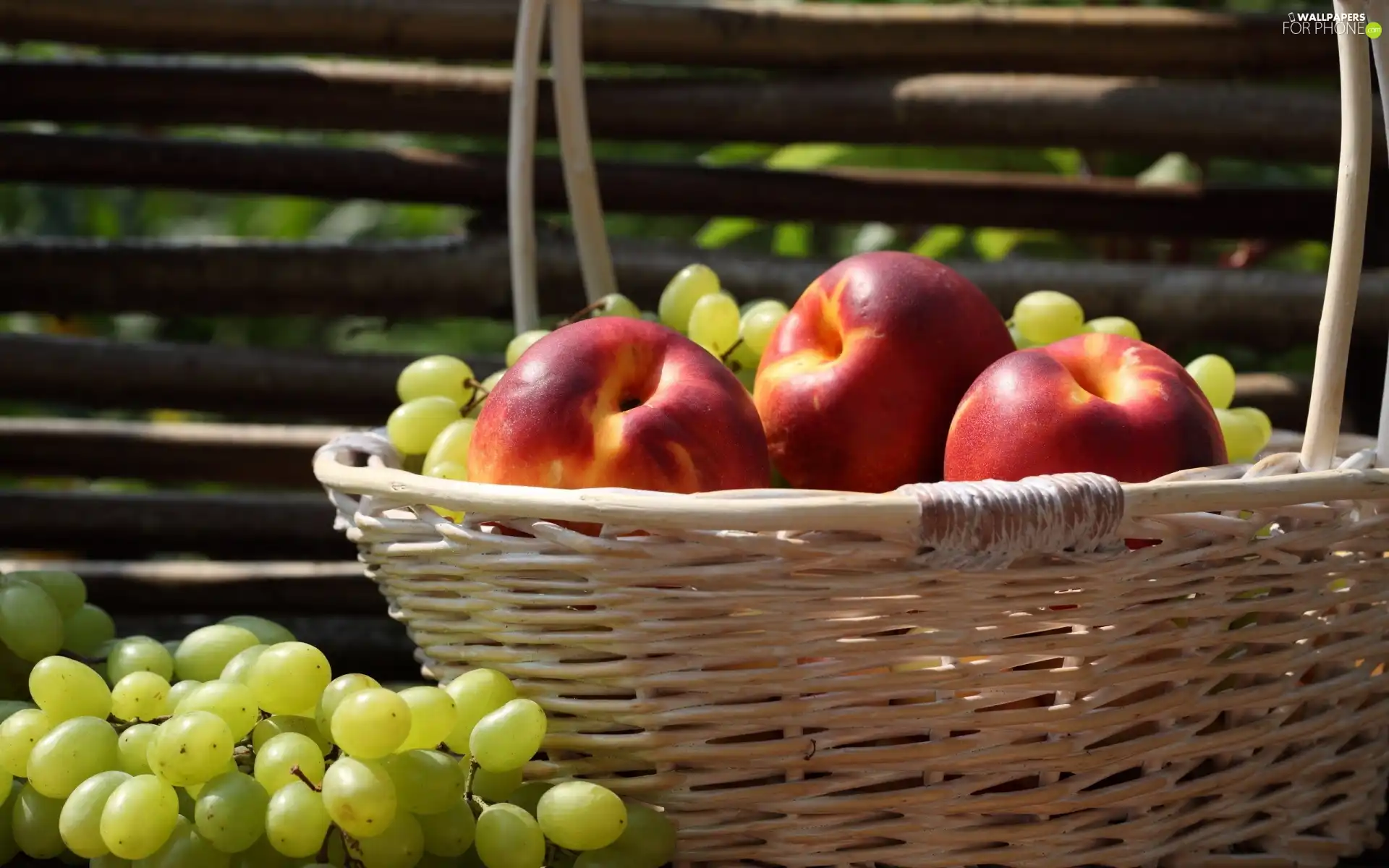 basket, nectarines, Grapes, wicker