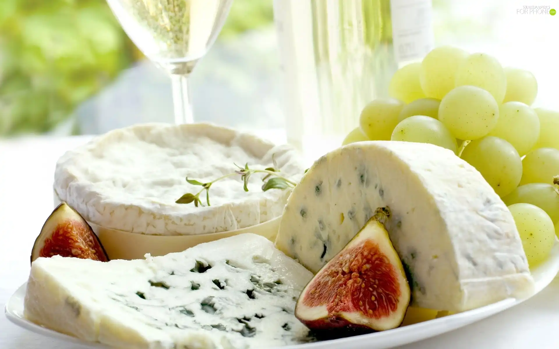 Grapes, Cheese, Mould