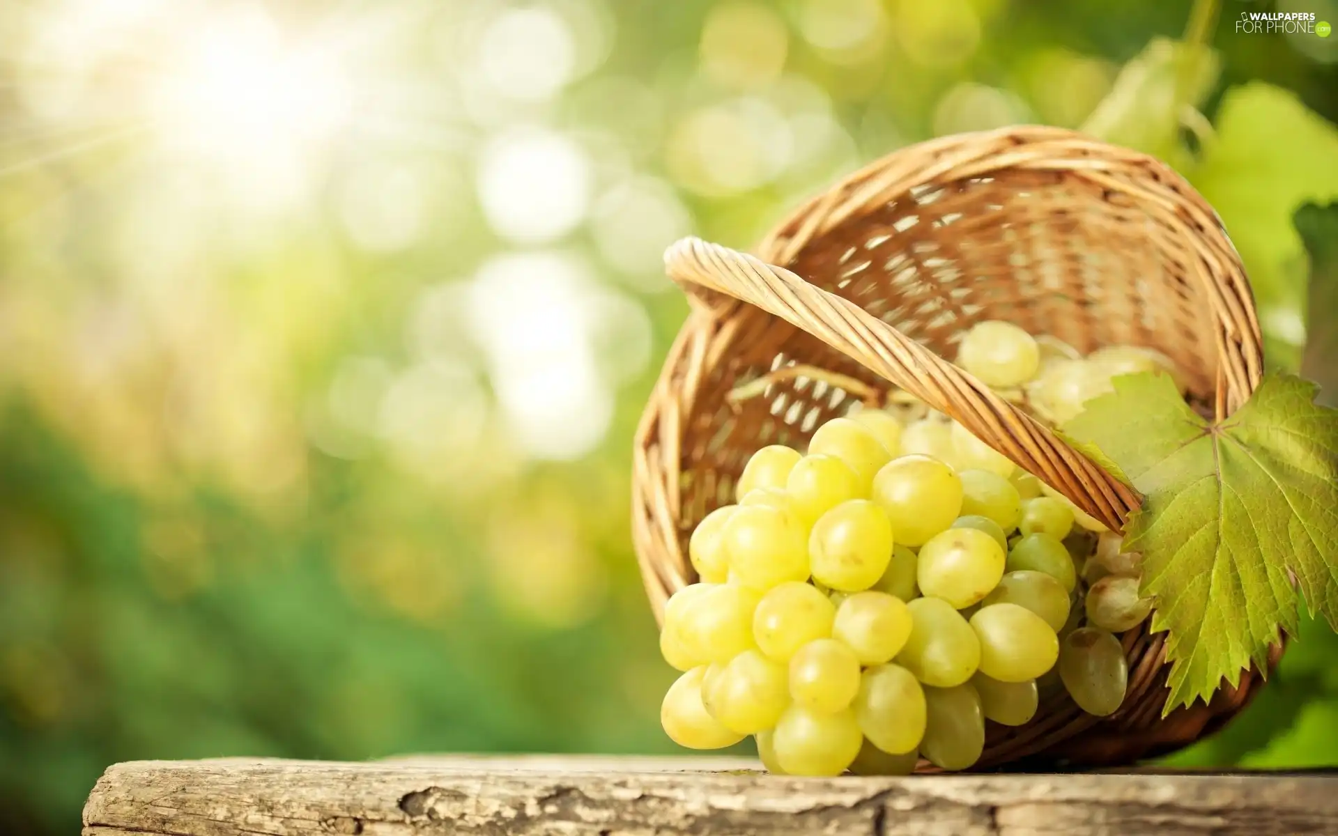 grapes, basket, spray