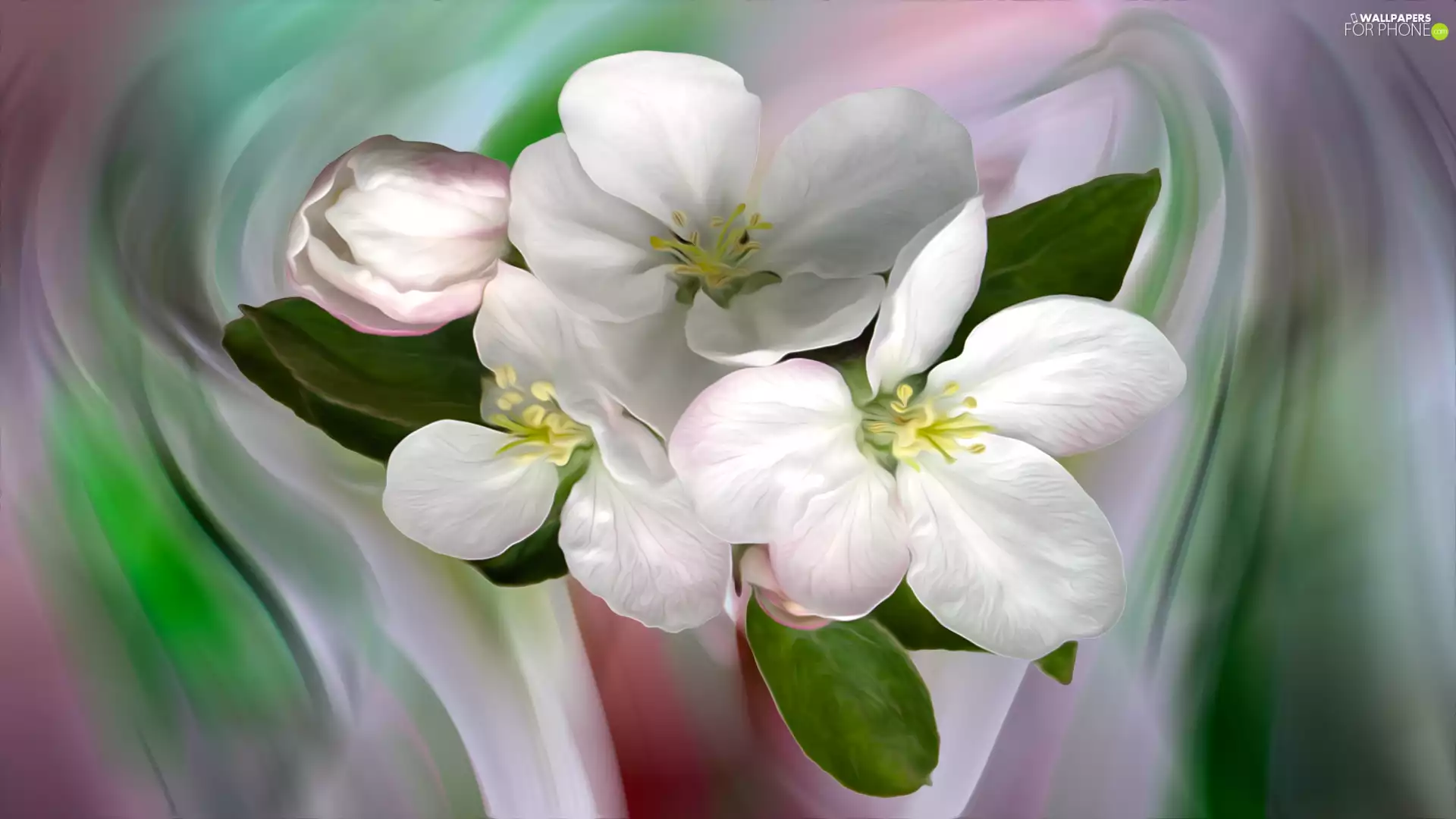 graphics, Flowers, apple