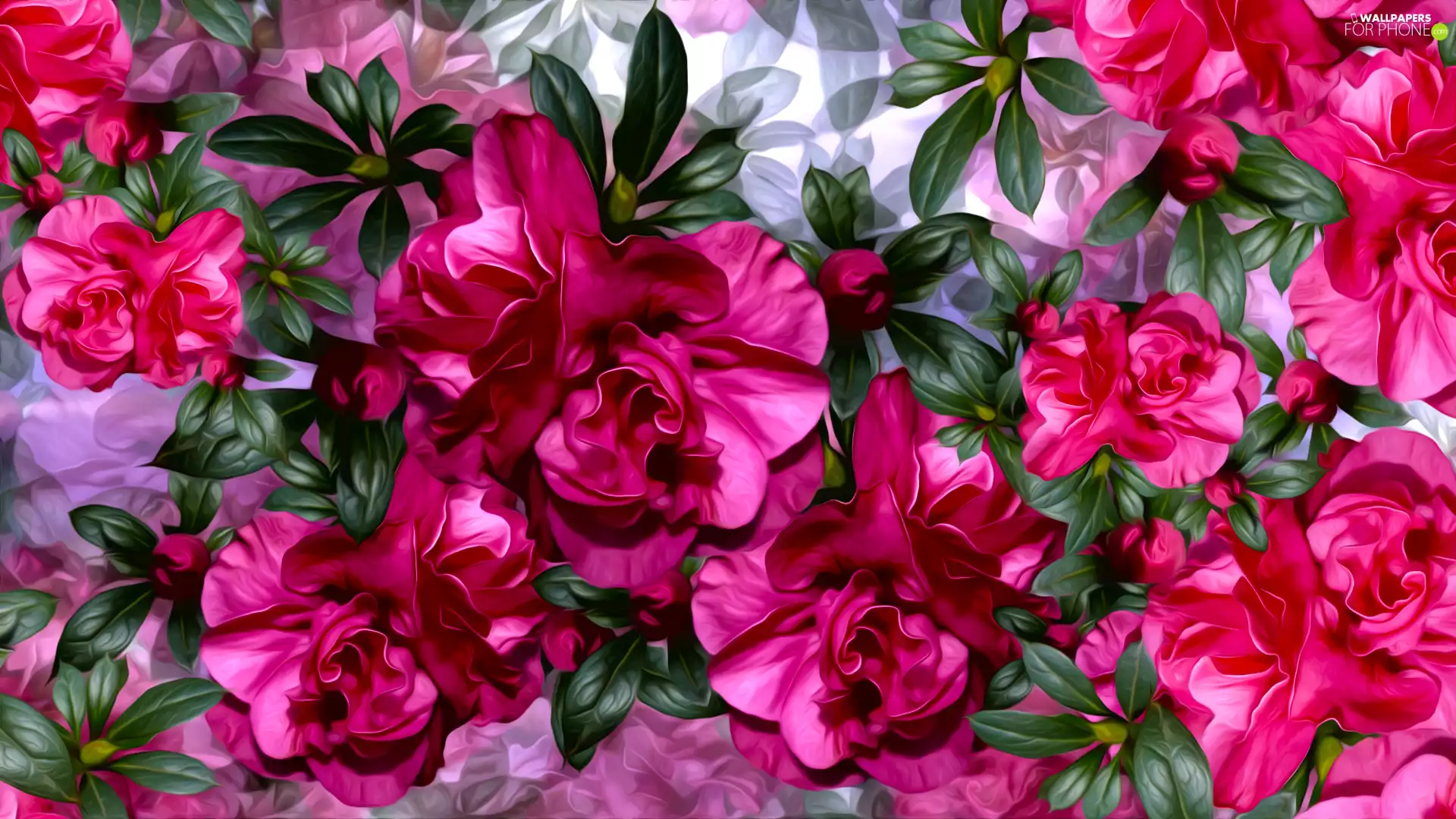 graphics, Flowers, camellia