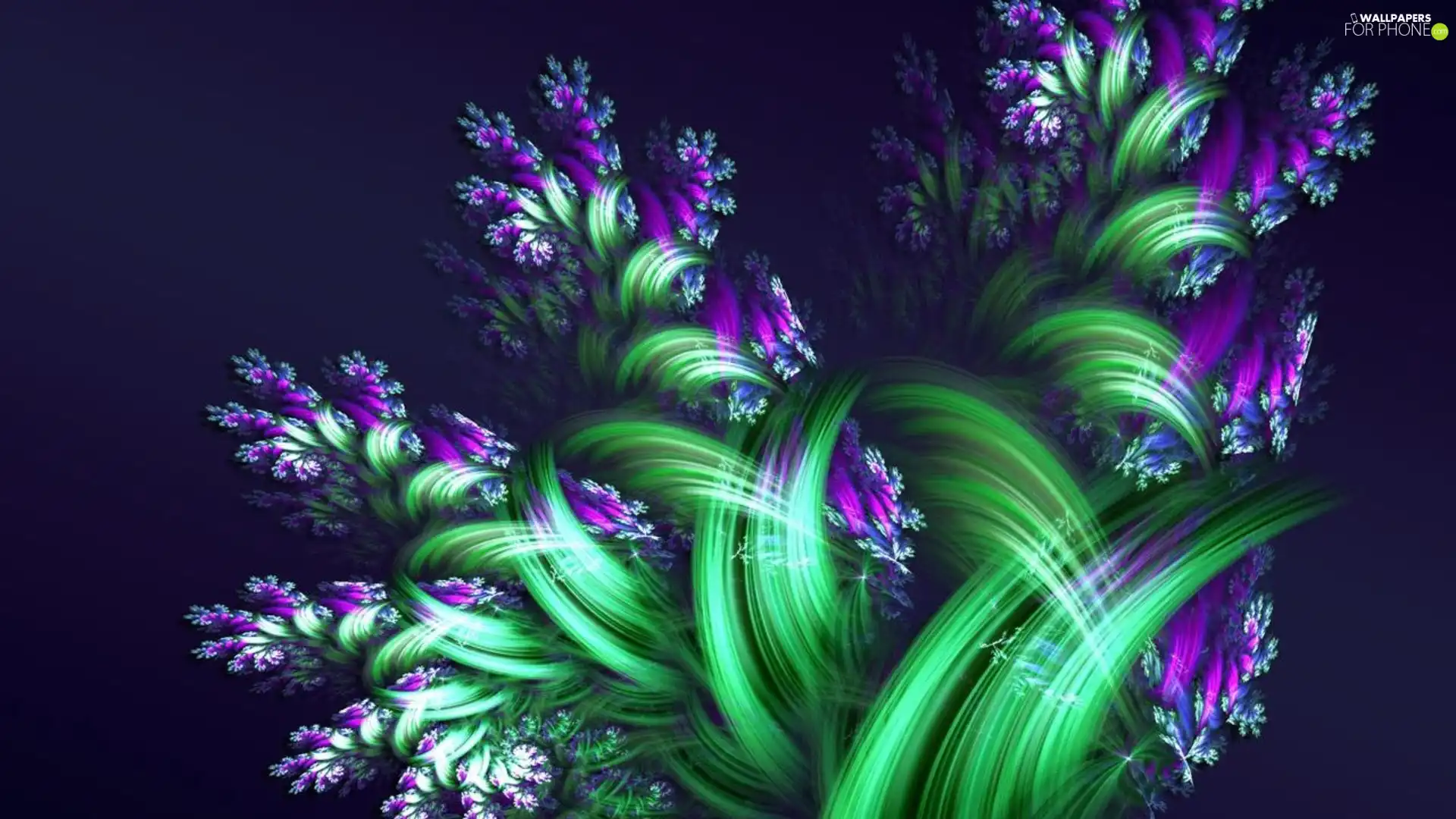 change, Flowers, graphics, purple