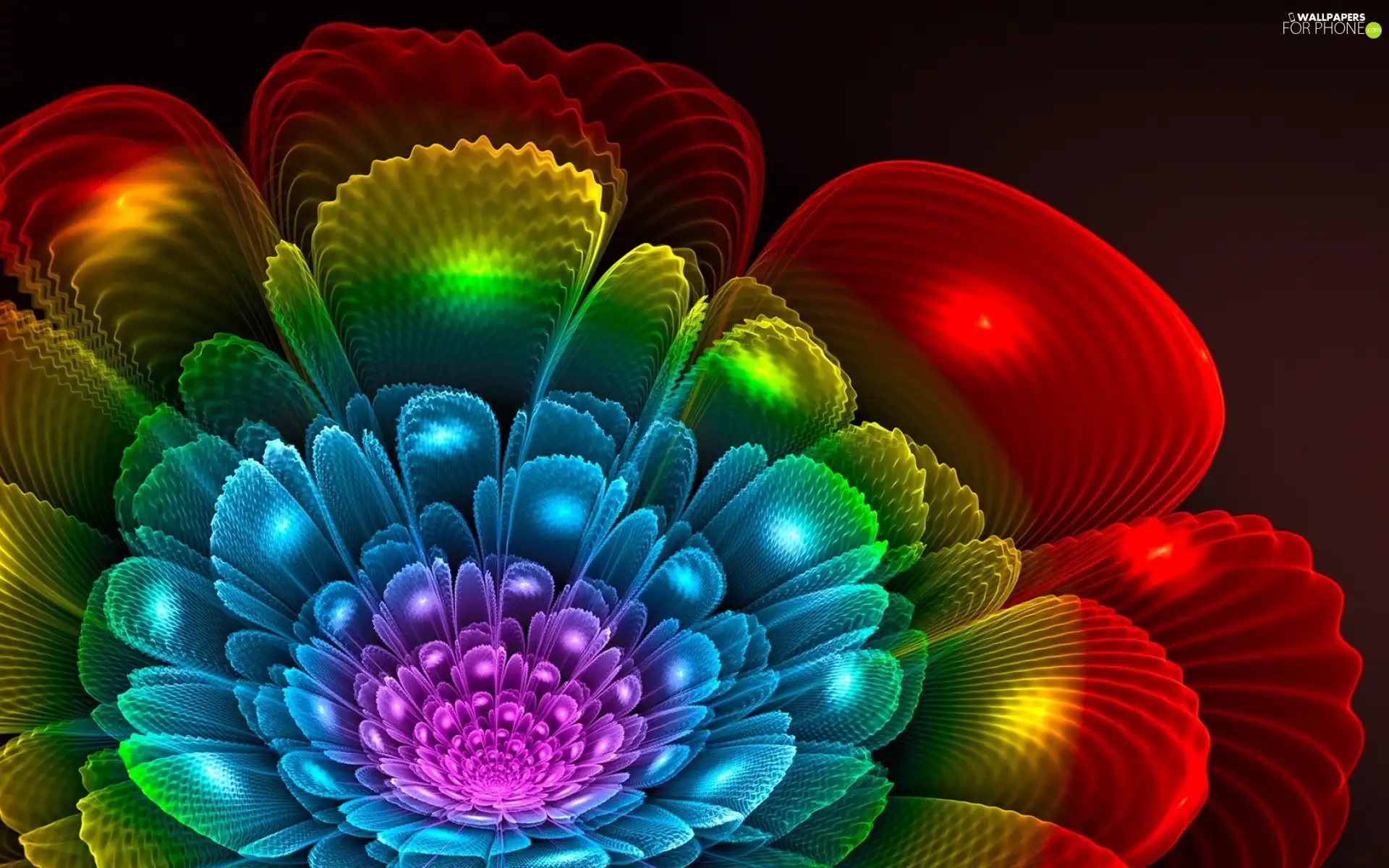 color, Fraktal, graphics, Colourfull Flowers
