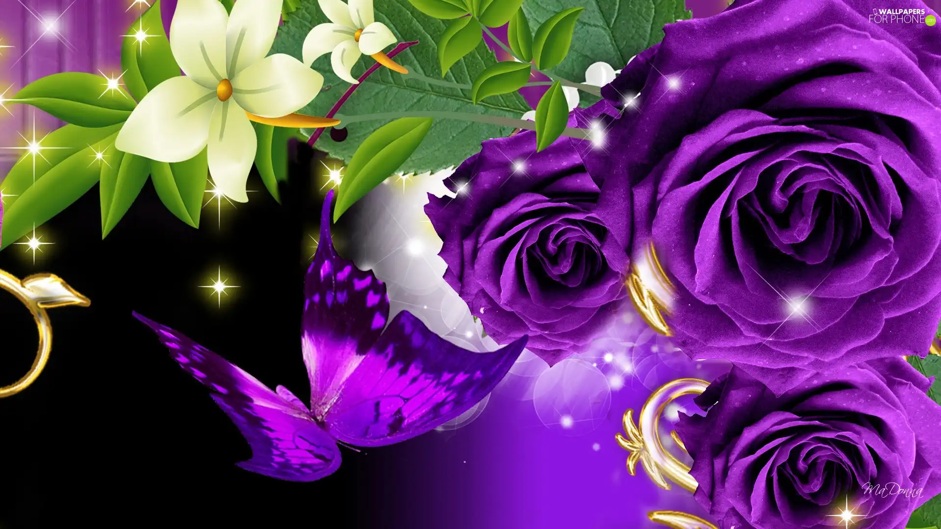 Purple, butterfly, graphics, roses