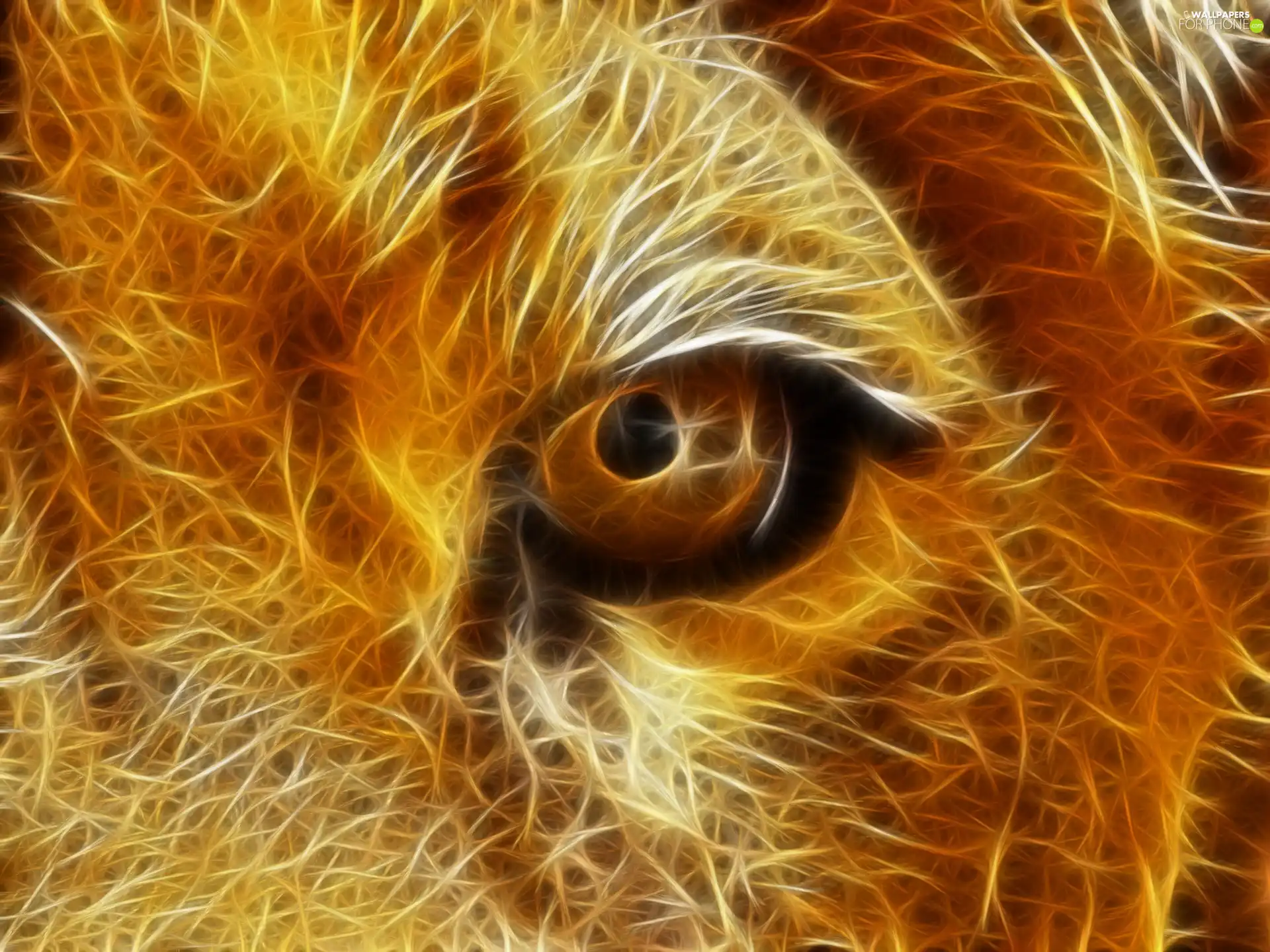 graphics, Lion, eye
