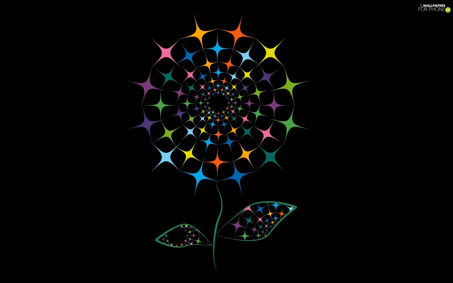 graphics, Stars, Flower