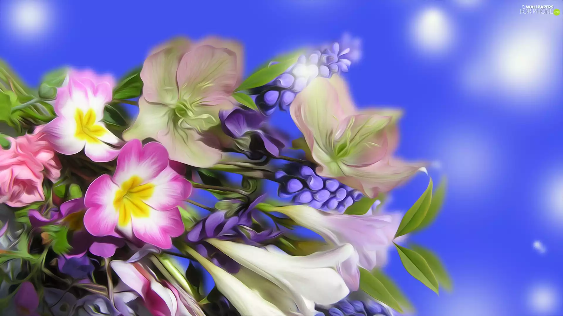graphics, Colored, Flowers