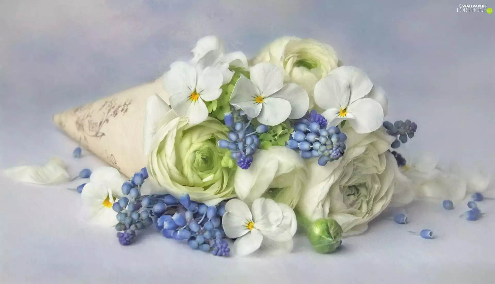 Muscari, bouquet, glaucoma, graphics, pansies, Flowers