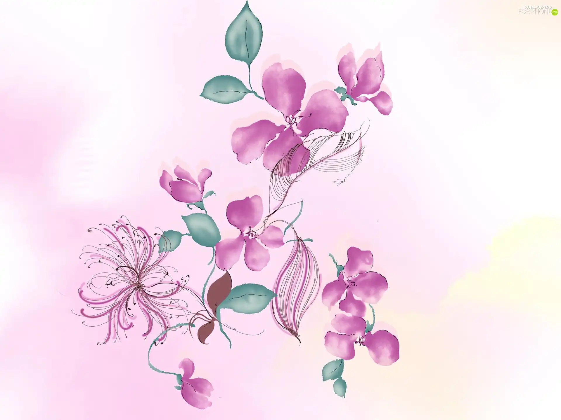 graphics, Pink, Flowers