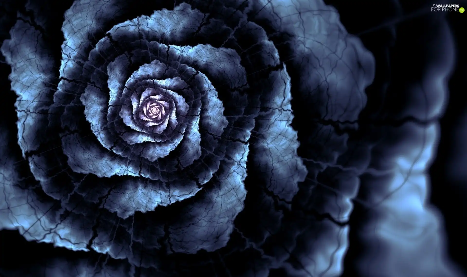 graphics, Fraktal, Black, Colourfull Flowers, blue