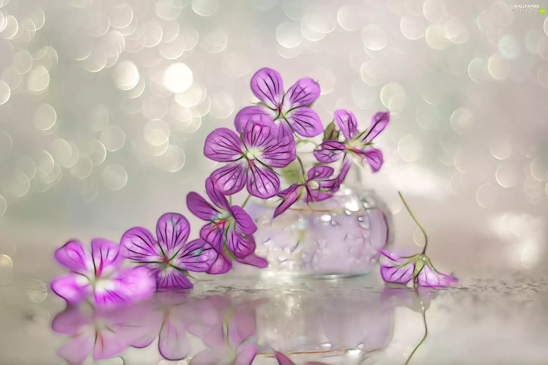 geranium, Fractalius, Bokeh, graphics