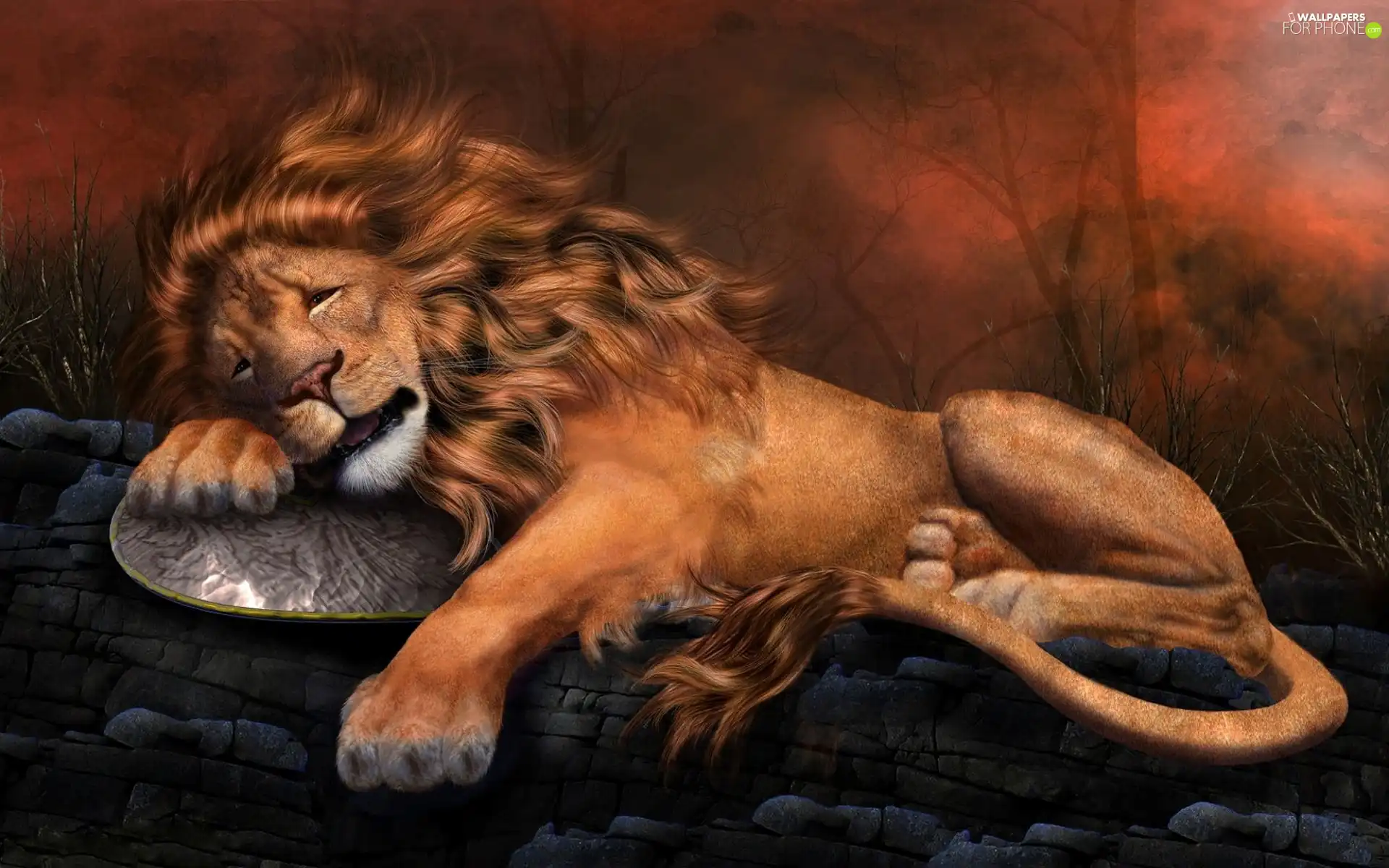 graphics, sleepy, Lion