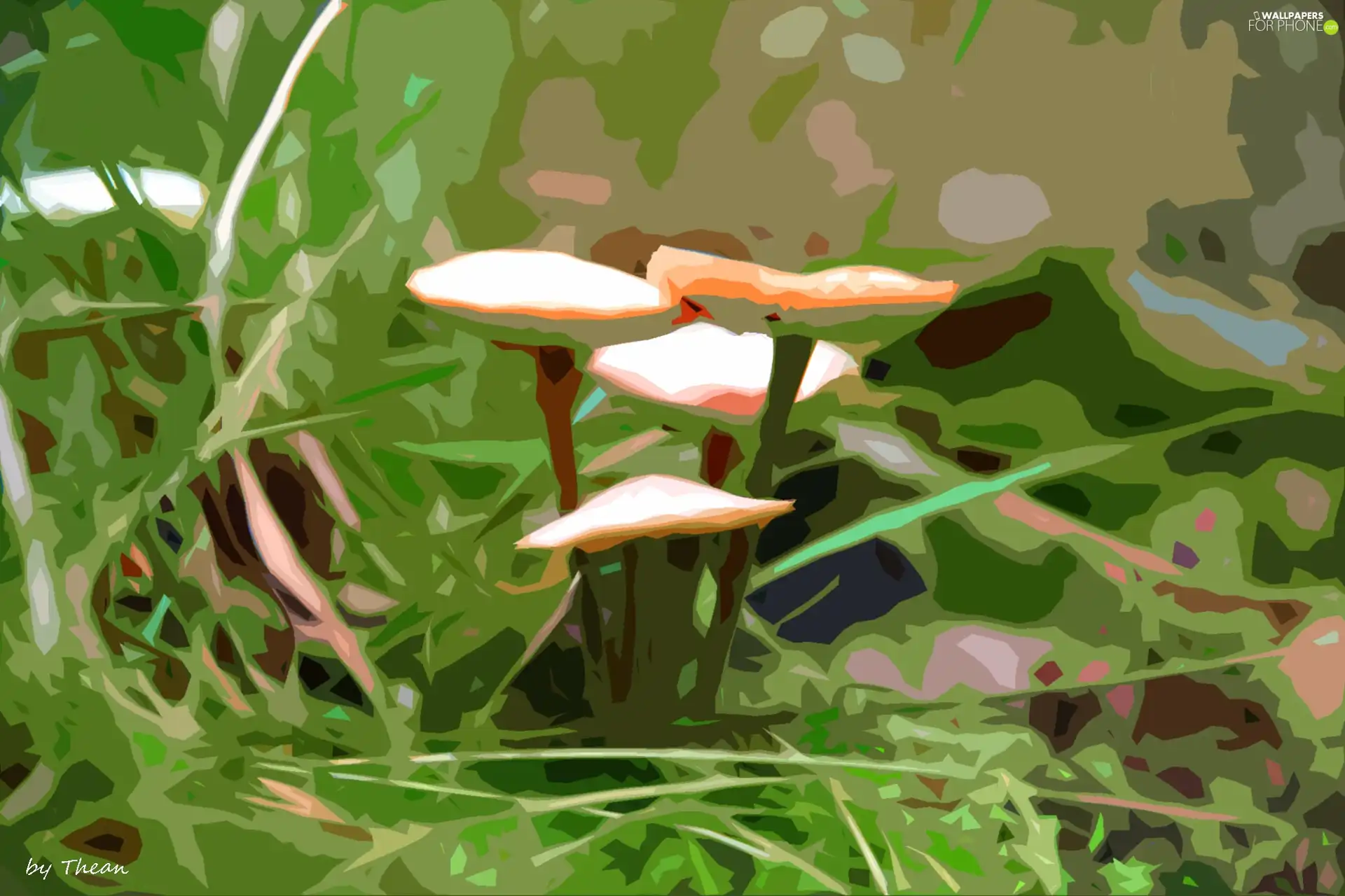 mushroom, graphics