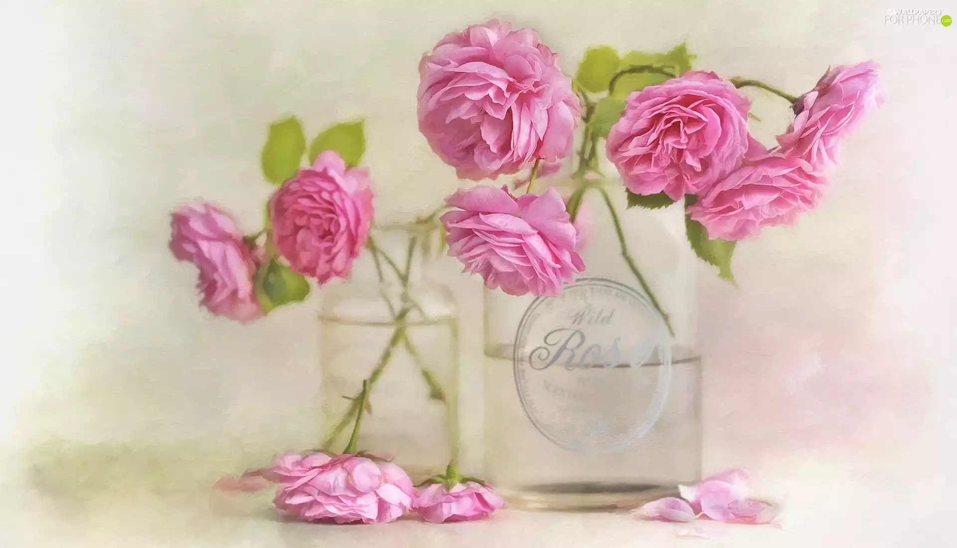 roses, Flowers, dishes, graphics, glass, Pink