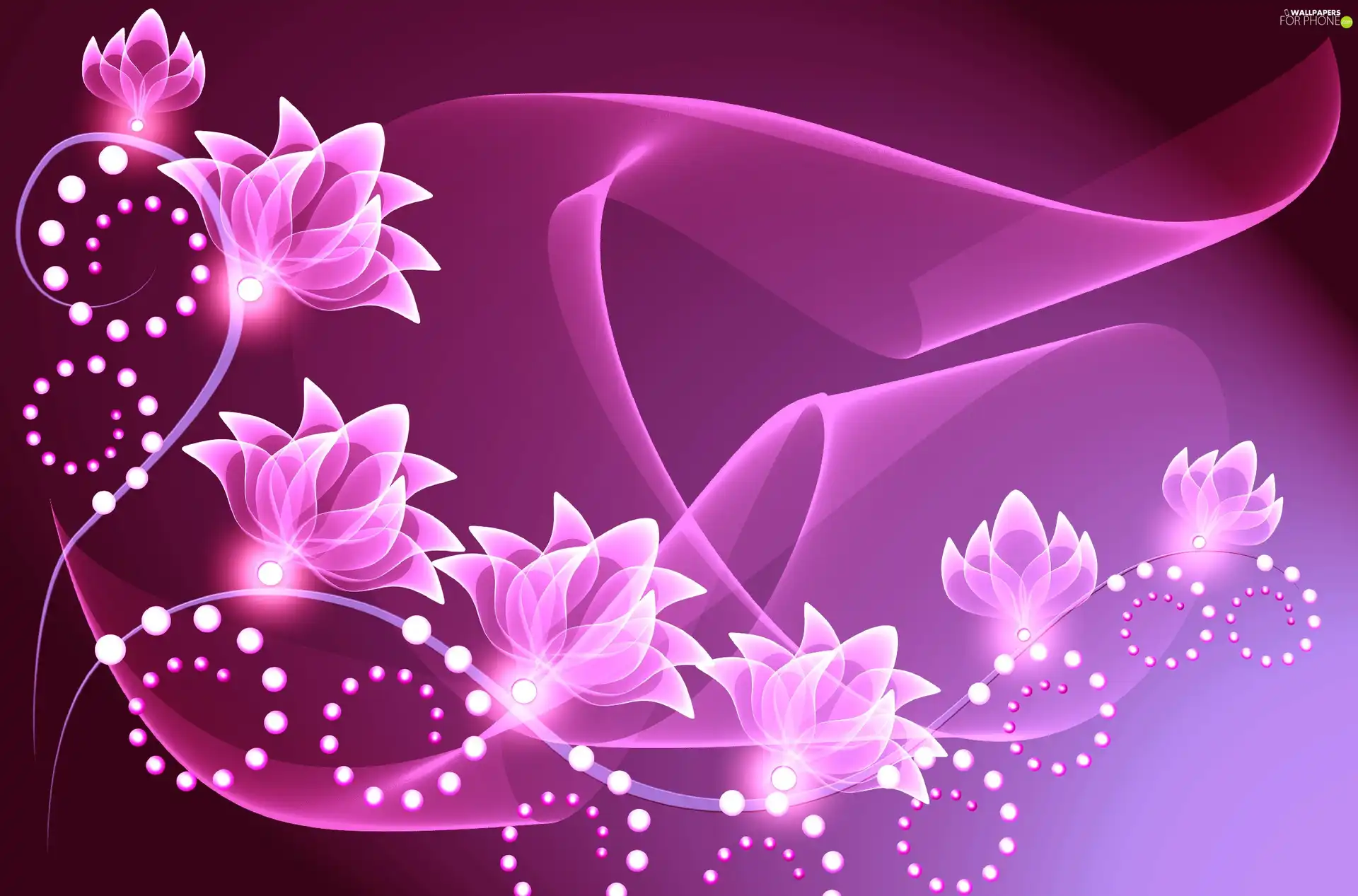 Pink, Flowers, graphics, highlighted