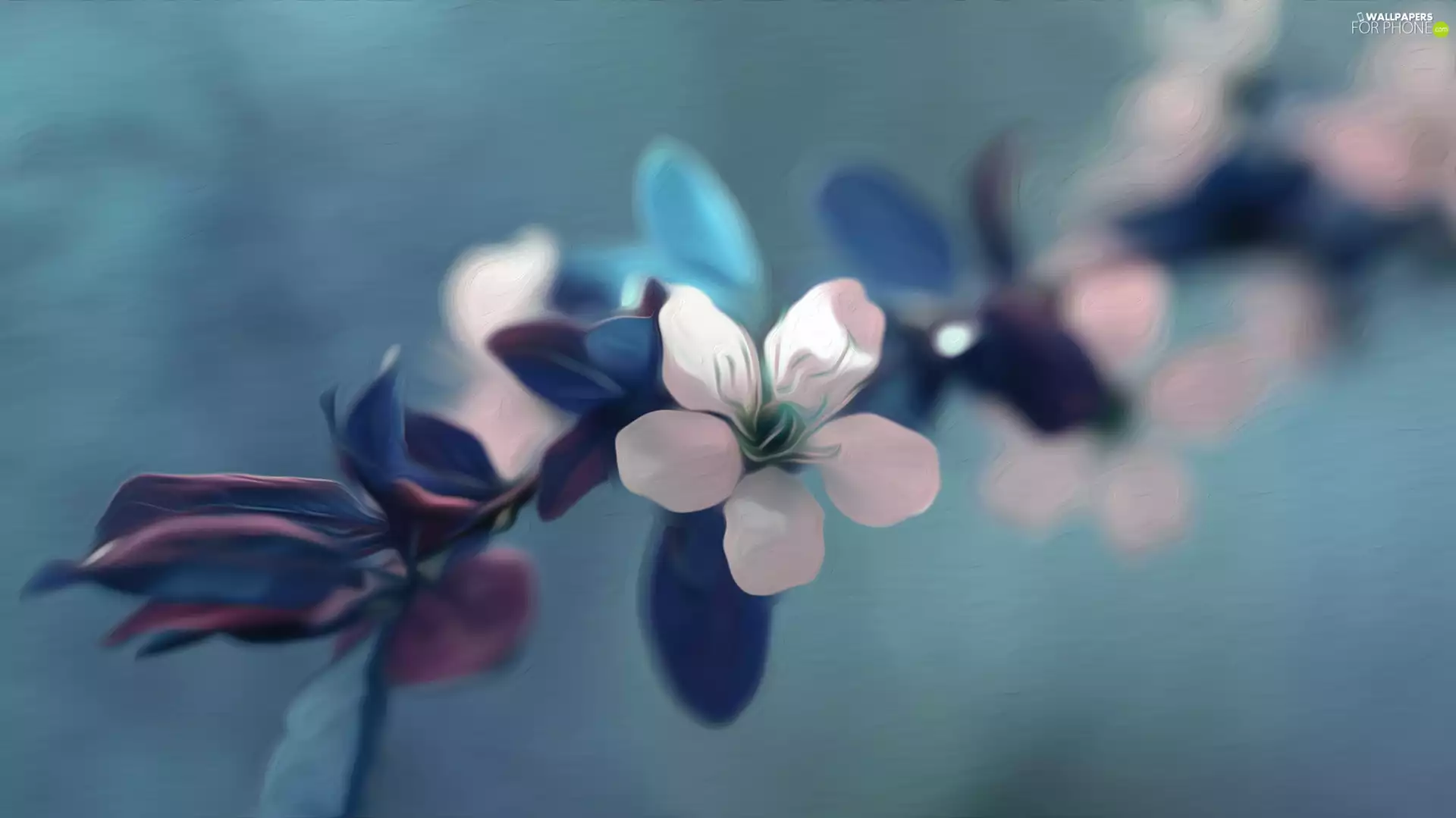 White, graphics, twig, Colourfull Flowers