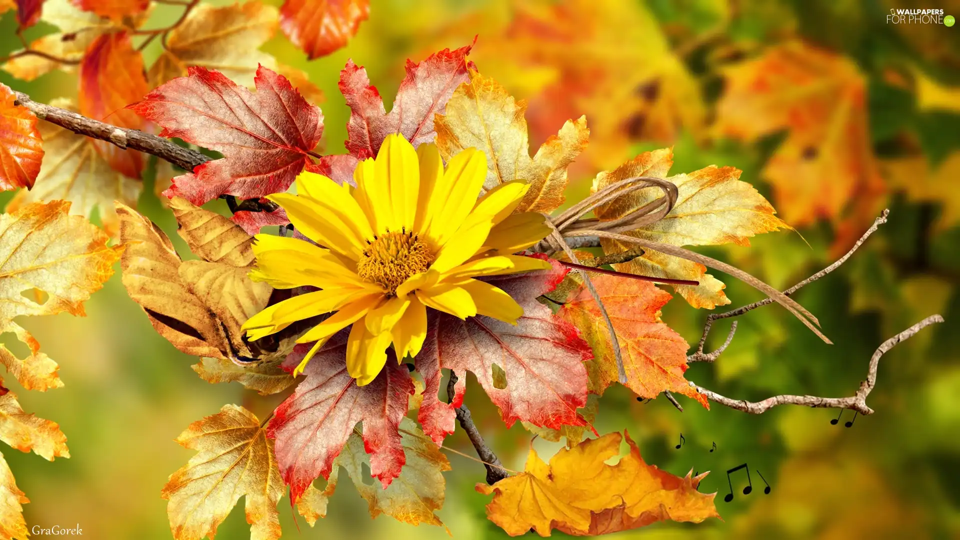 Autumn, Yellow, twig, graphics, Leaf, Colourfull Flowers