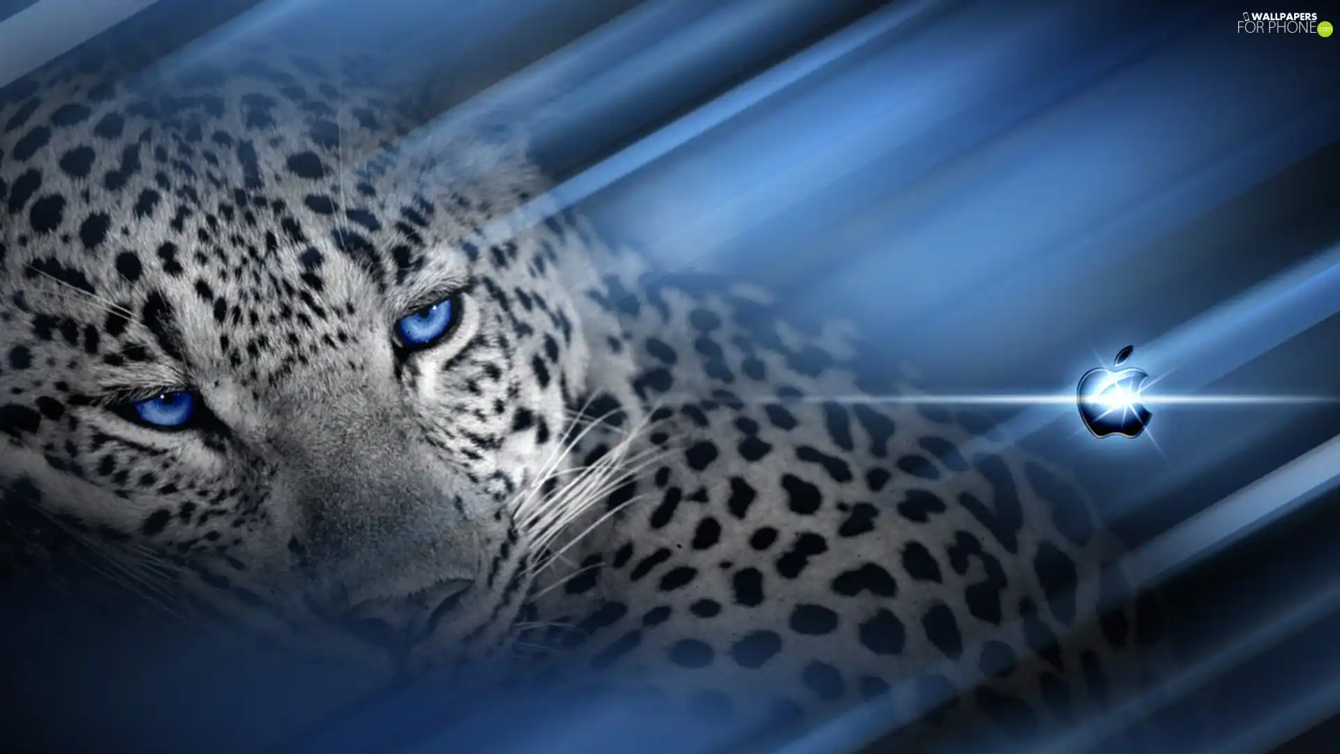 White, Apple, graphics, Leopards