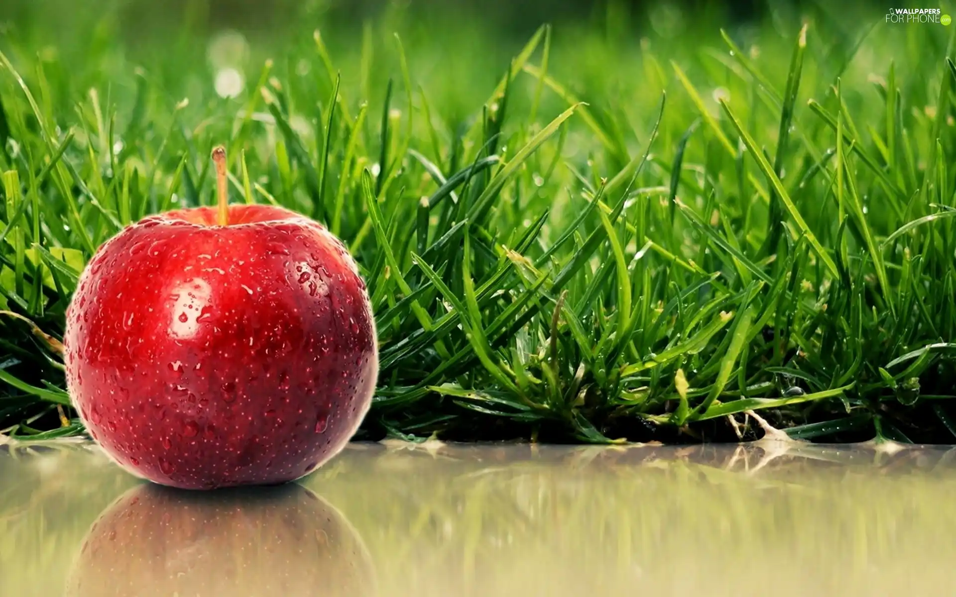 Apple, grass