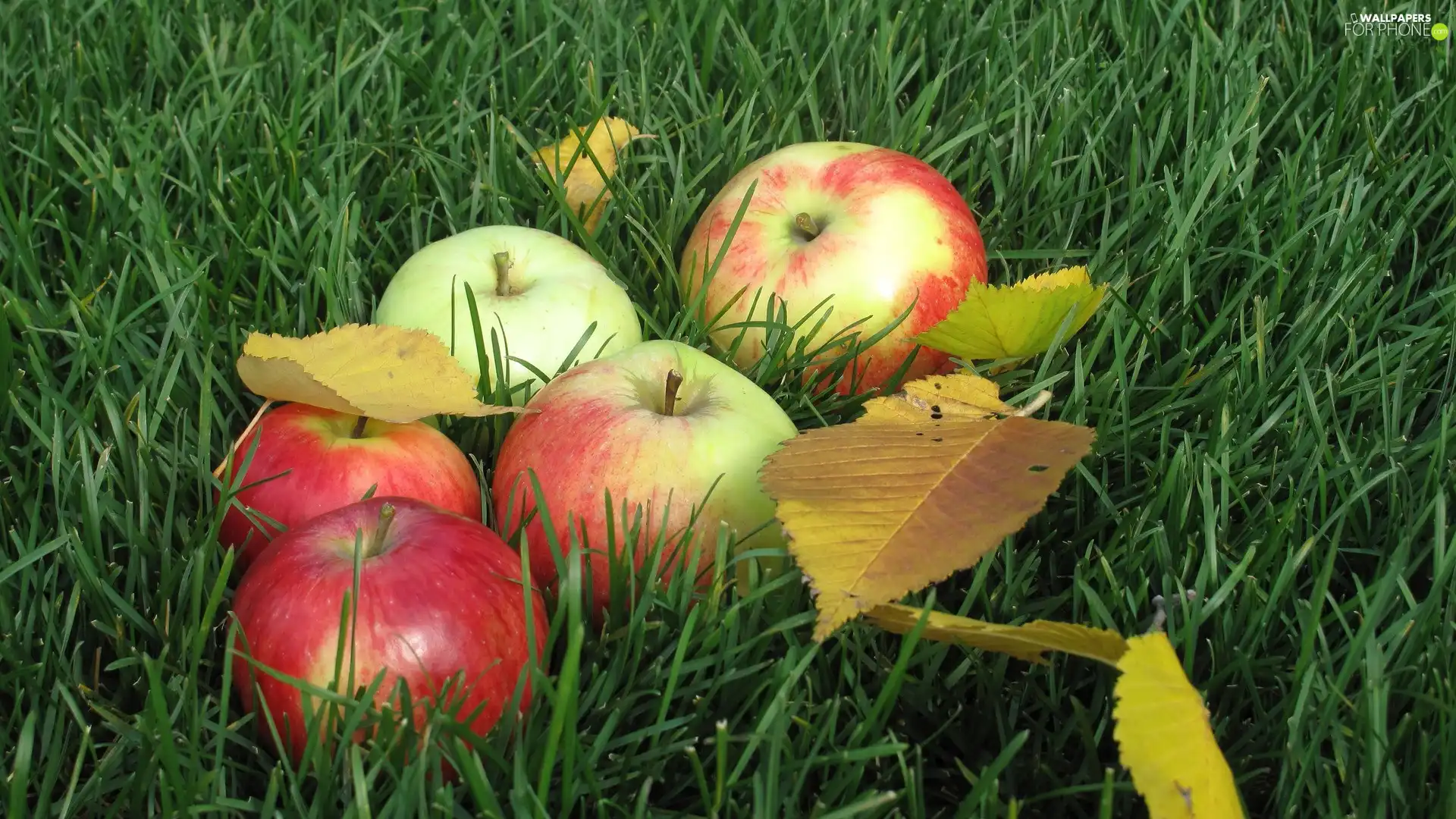 apples, grass