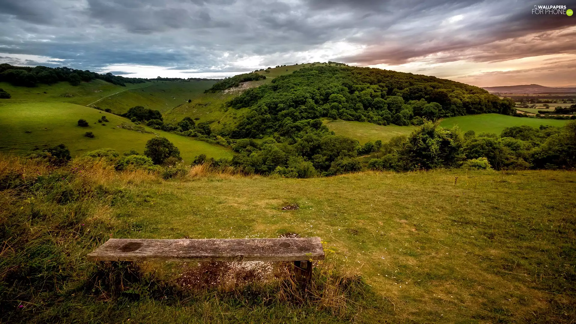 trees, clouds, Bench, grass, viewes, The Hills