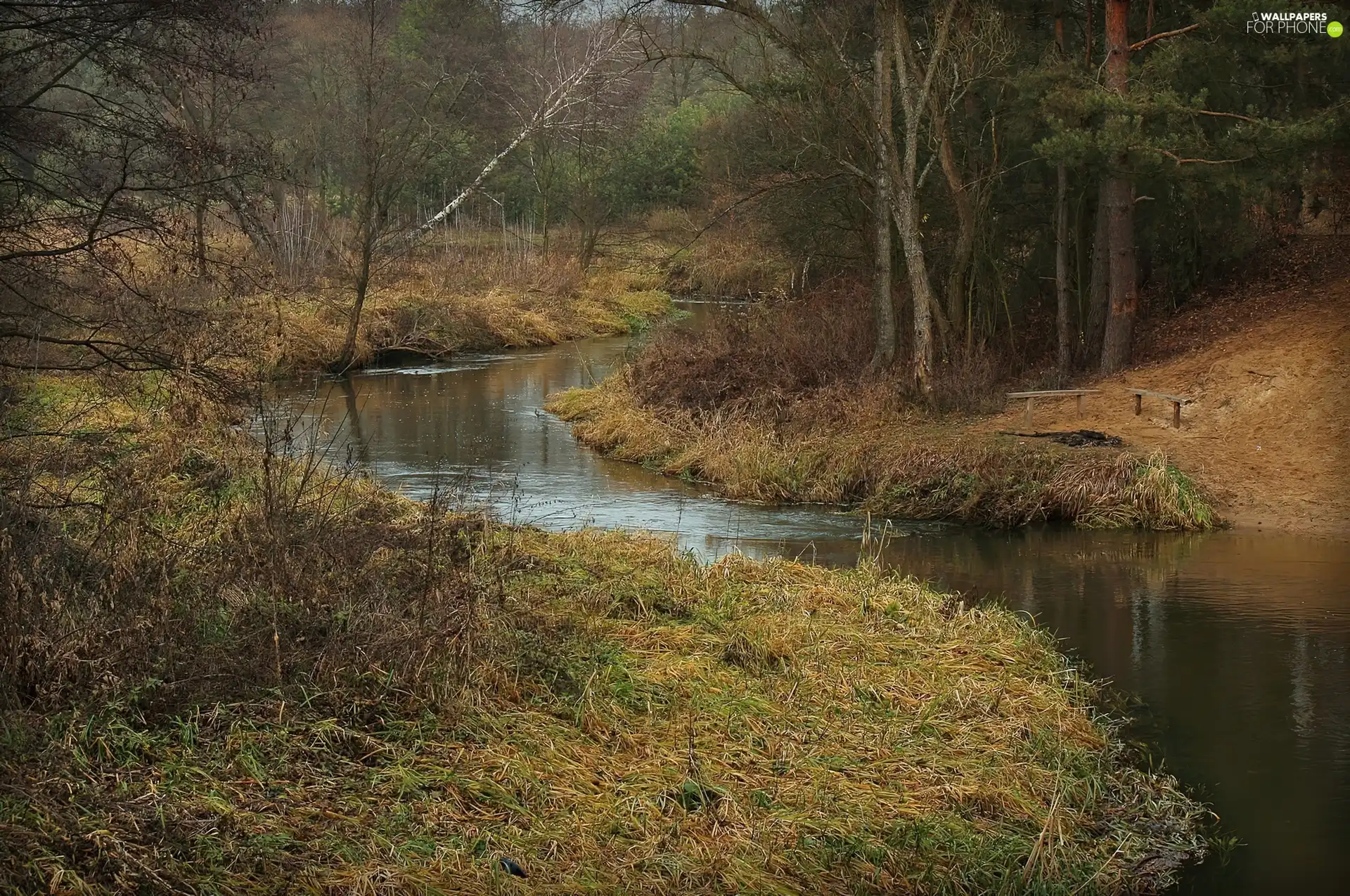 trees, brook, grass, bench, viewes, winding