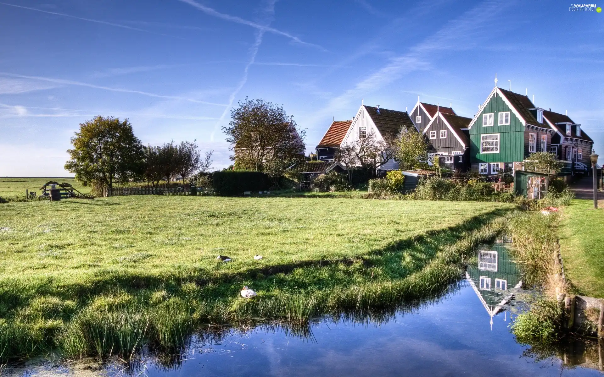 grass, brook, medows, field, Houses