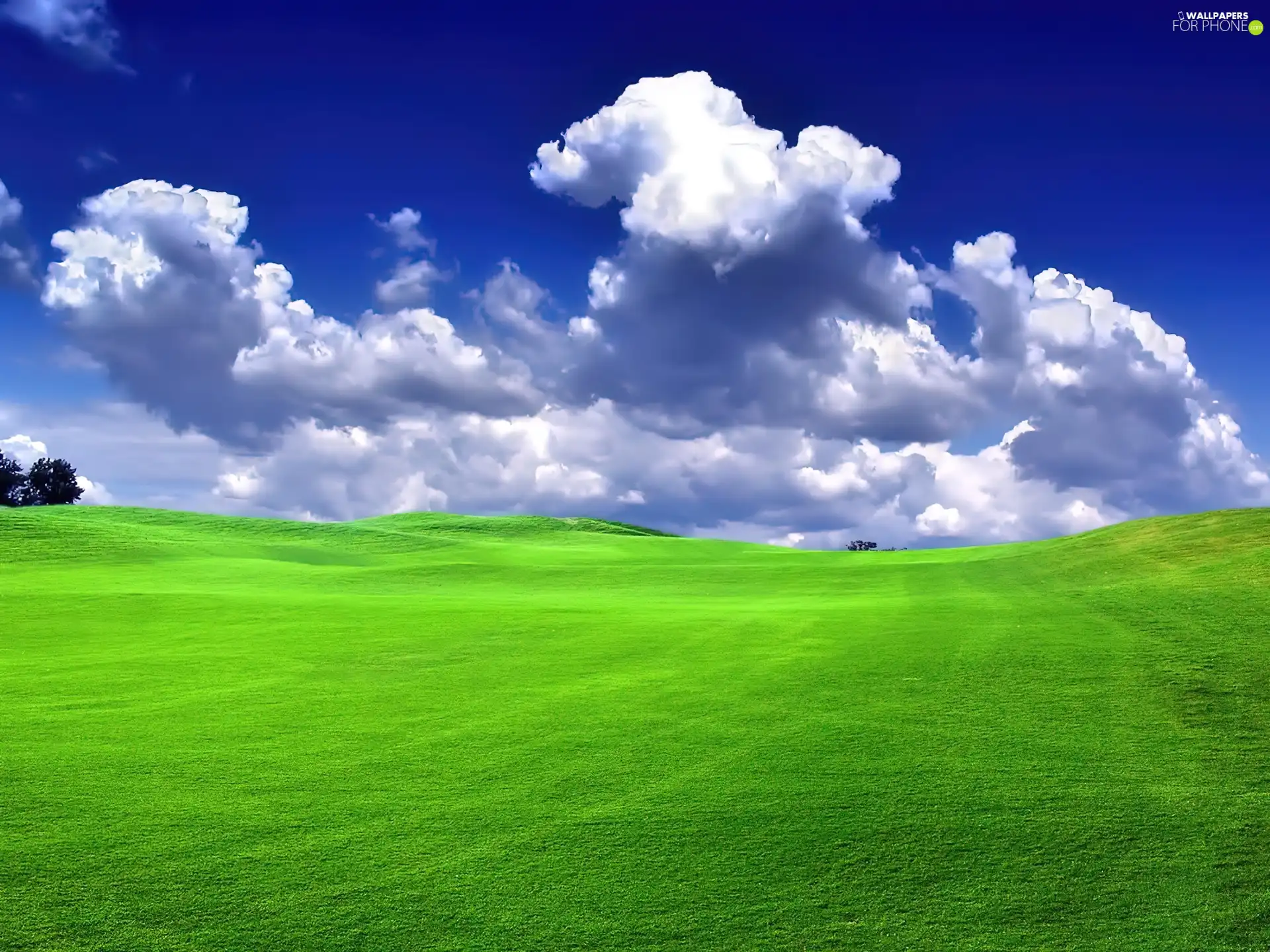 grass, Meadow, clouds