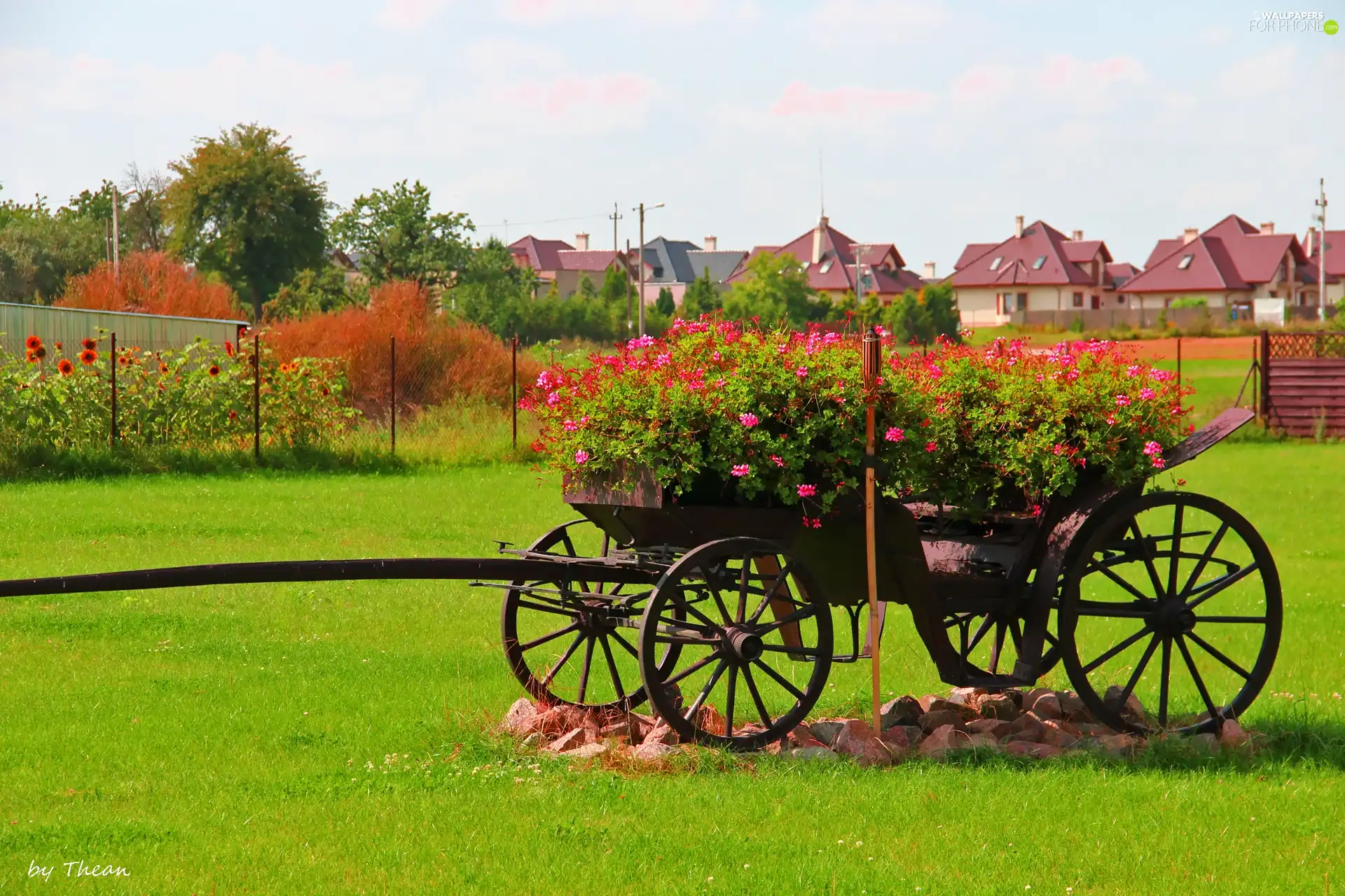 Garden, chaise, grass, Flowers