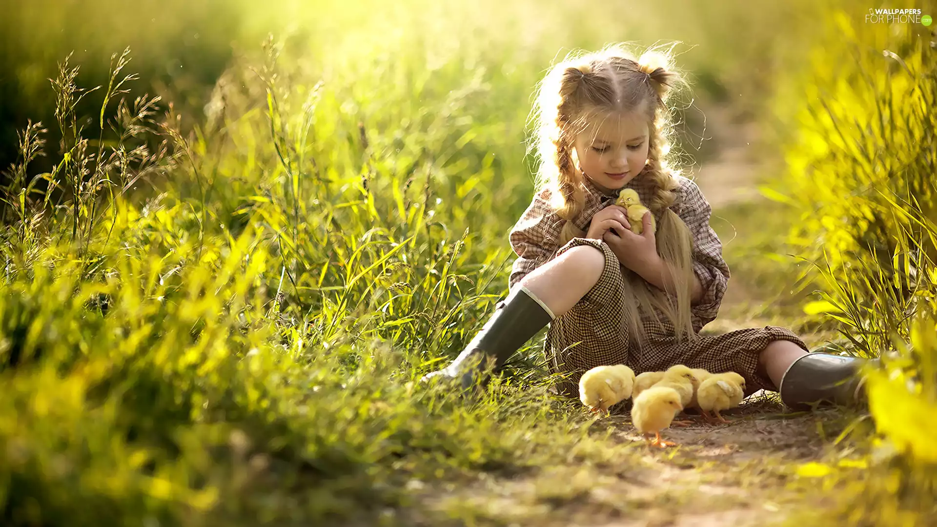 Way, grass, girl, chickens, Kid