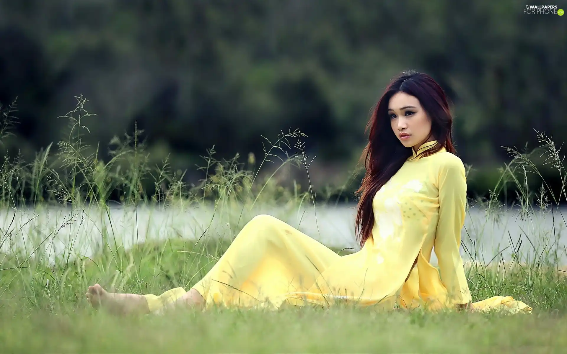 Beauty, Meadow, grass, Japanese girl