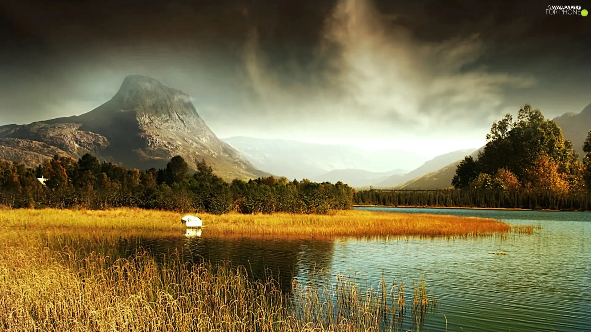 grass, Rocks, lake