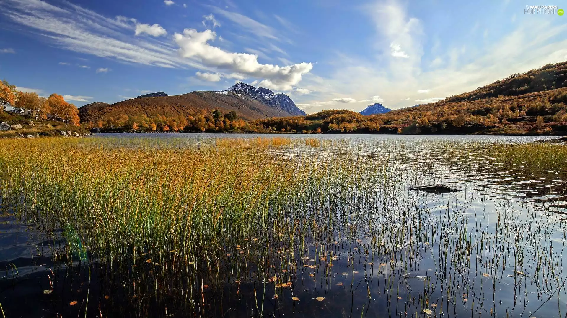 lake, autumn, viewes, grass, trees, Mountains