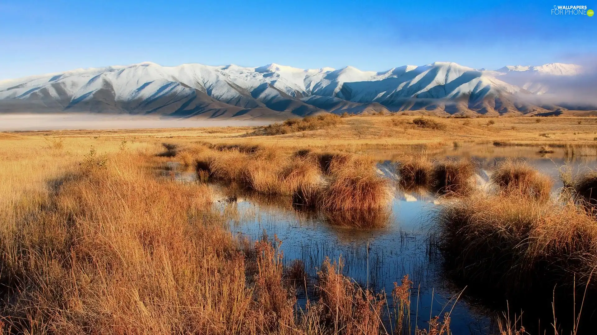 grass, Mountains, Ponds