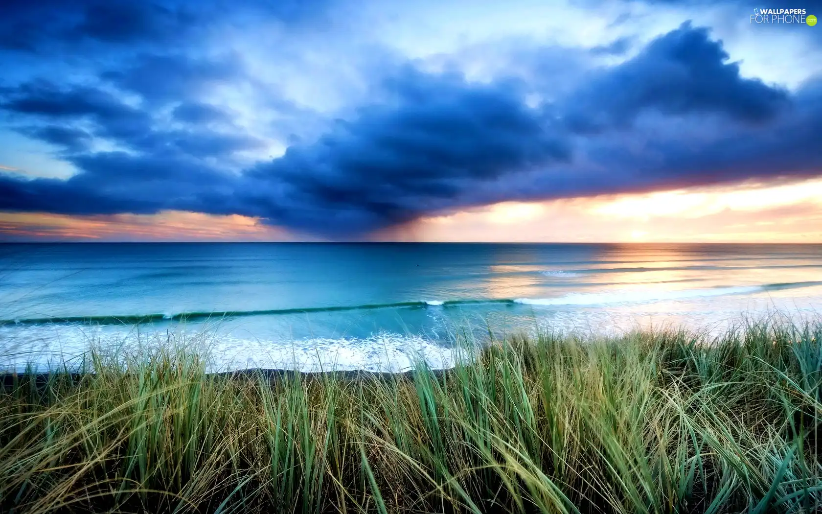grass, Sky, sea
