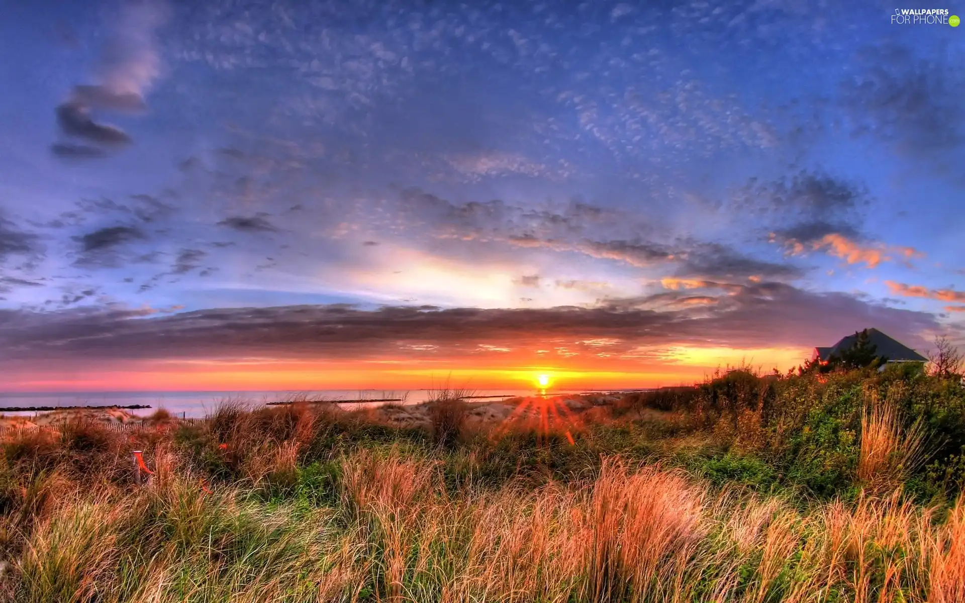 sea, sun, grass, rays