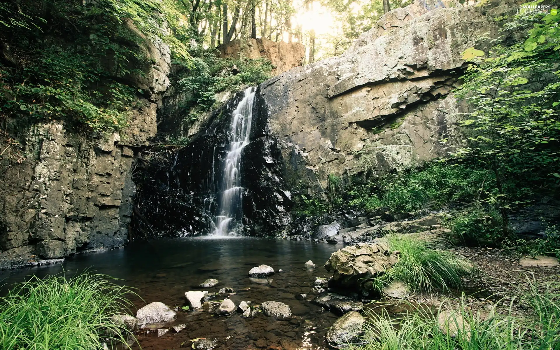 grass, waterfall, trees, viewes, rocks