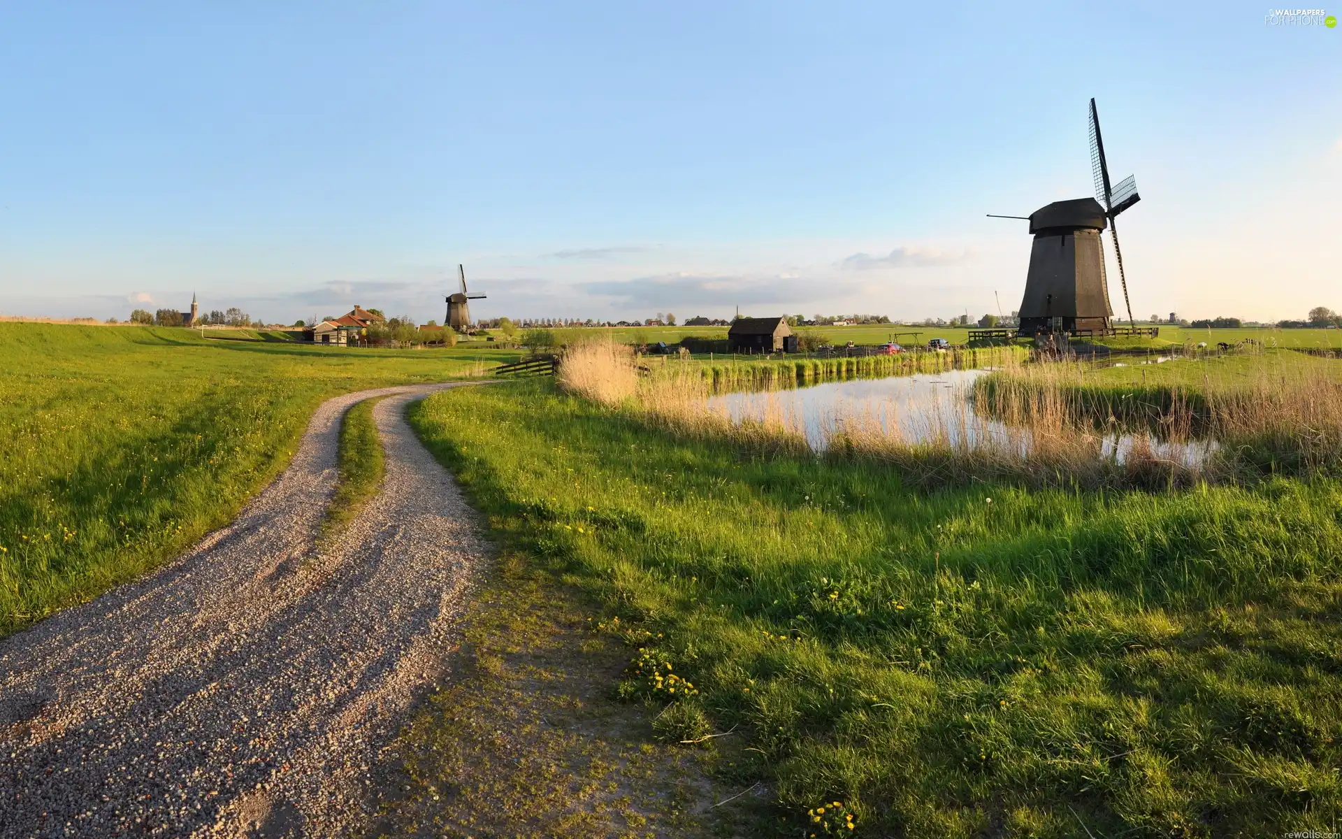 grass, Windmills, Way