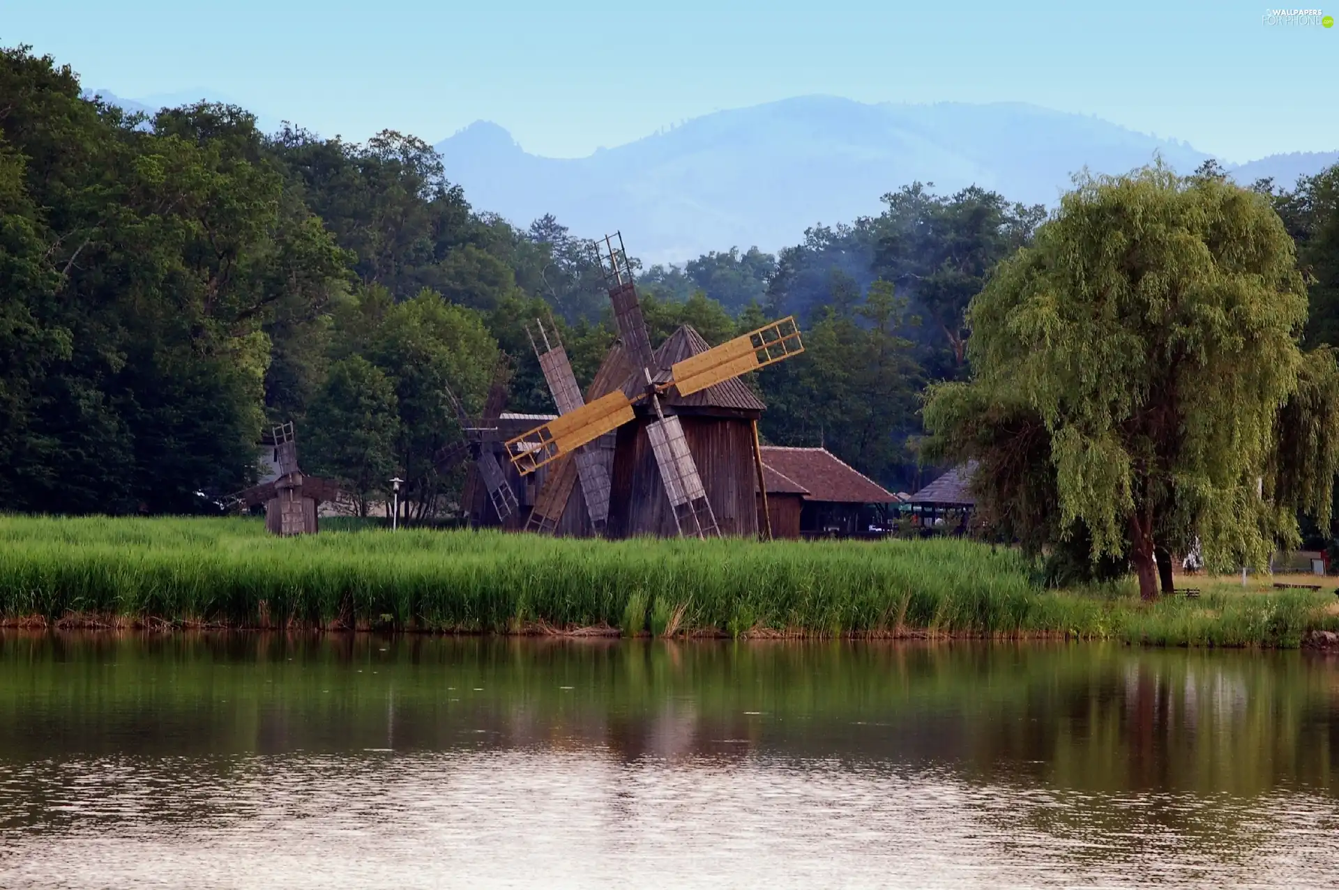 grass, Windmills, trees, viewes, River
