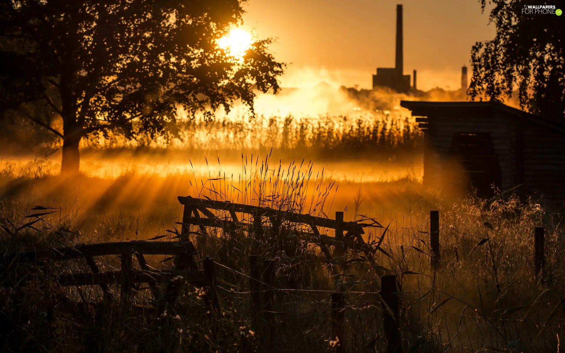 Great Sunsets, factory