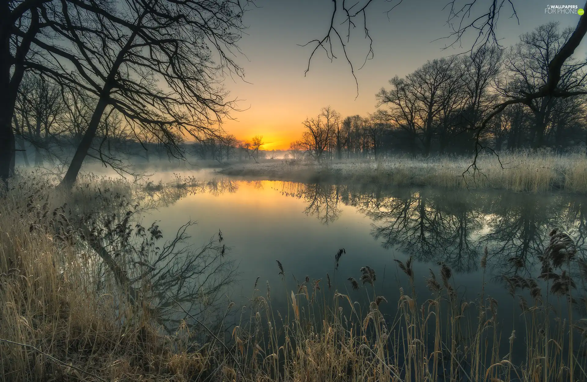 Great Sunsets, autumn, grass, trees, dry, Fog, lake, viewes